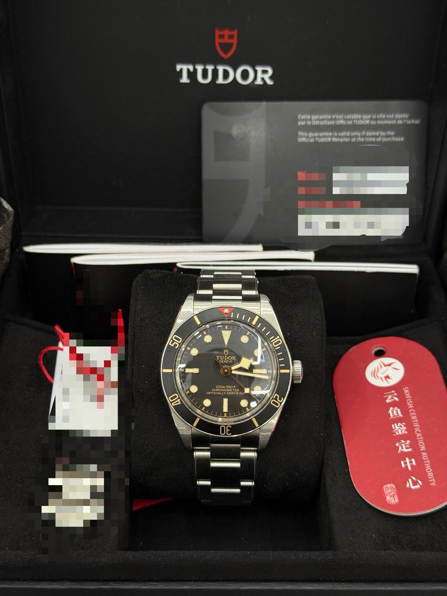 Tudor m79030n-0001 detail 1