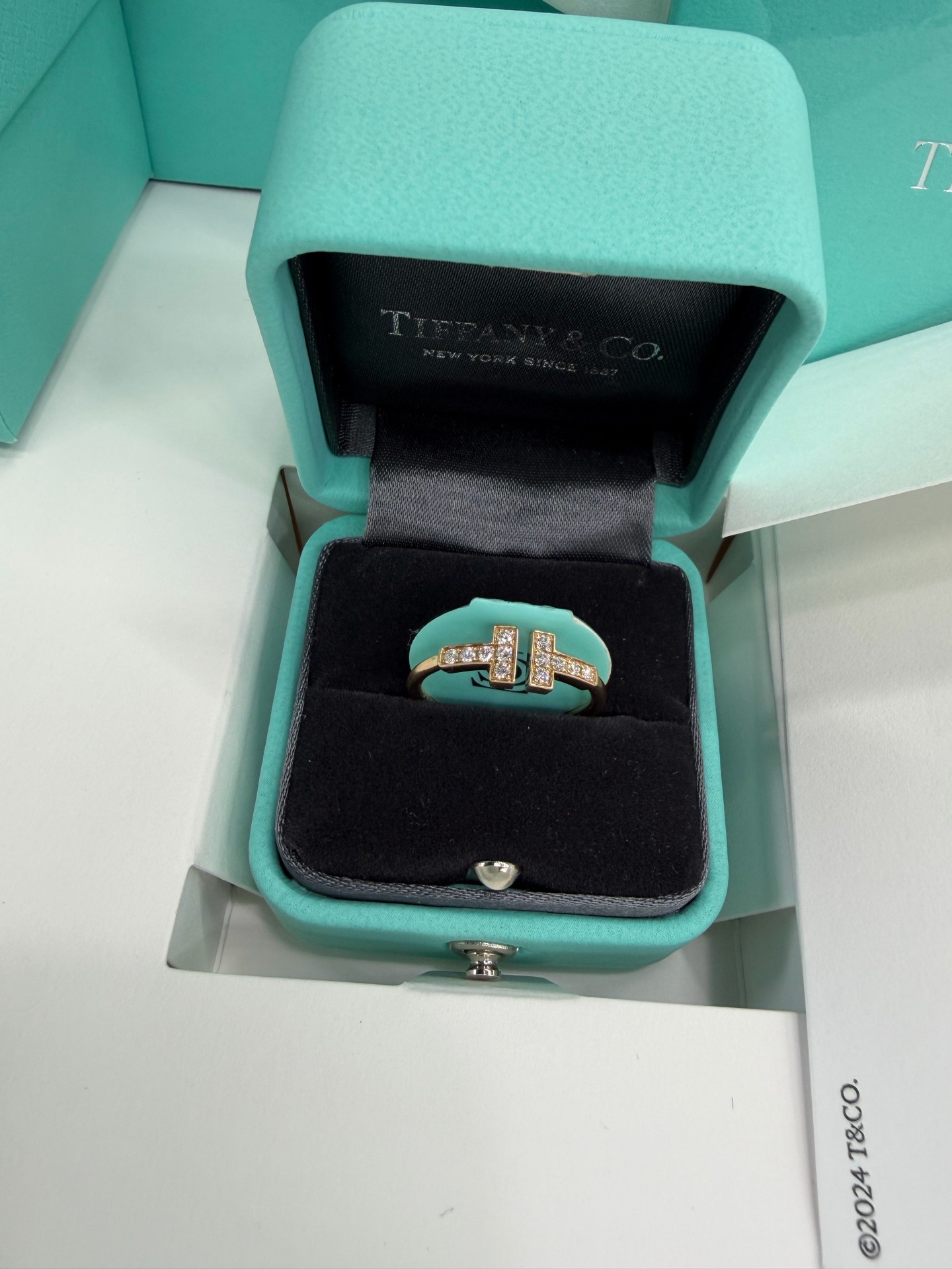 Tiffany detail 2