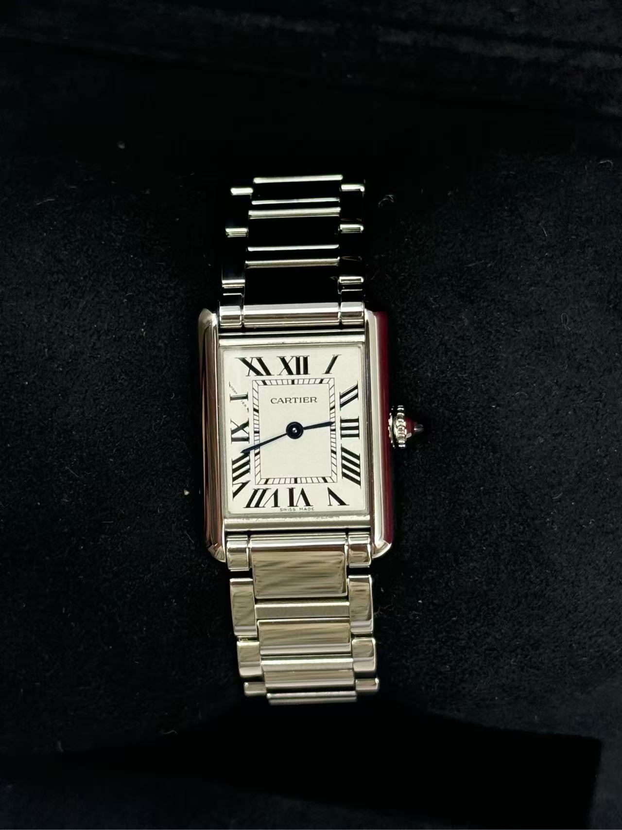 Cartier WSTA0107