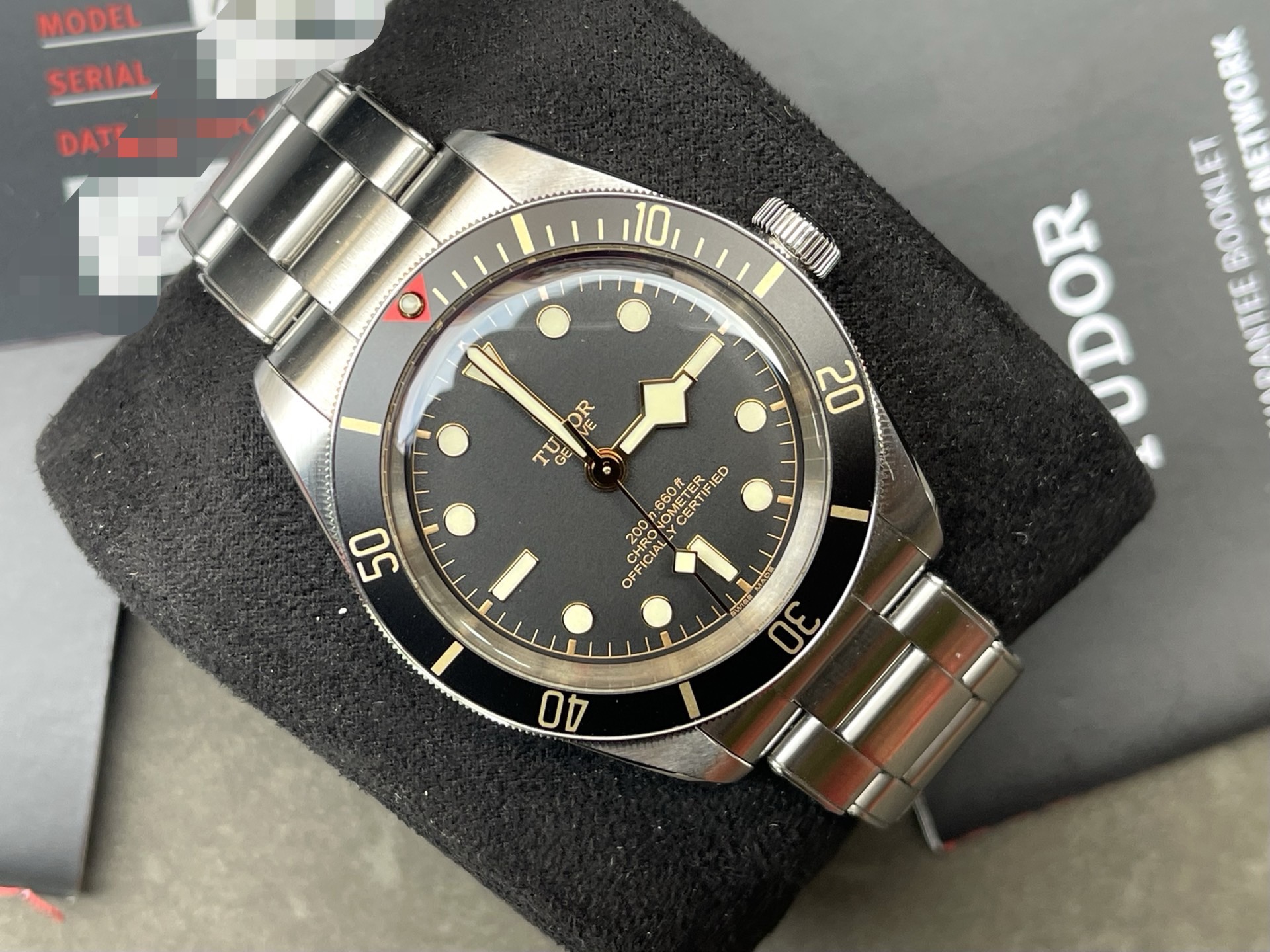 Tudor M79030N-0001 detail 1
