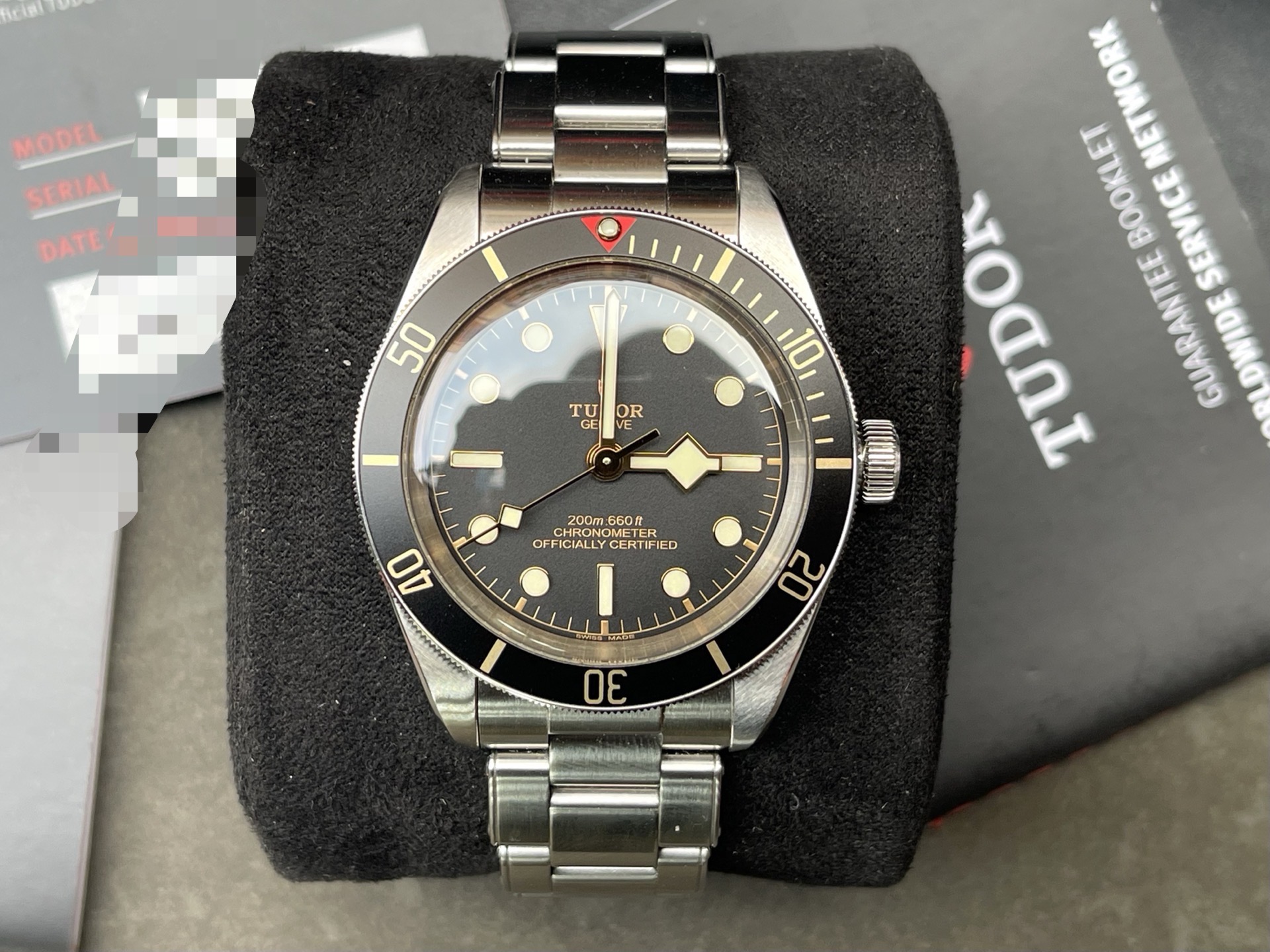 Tudor M79030N-0001 detail 2