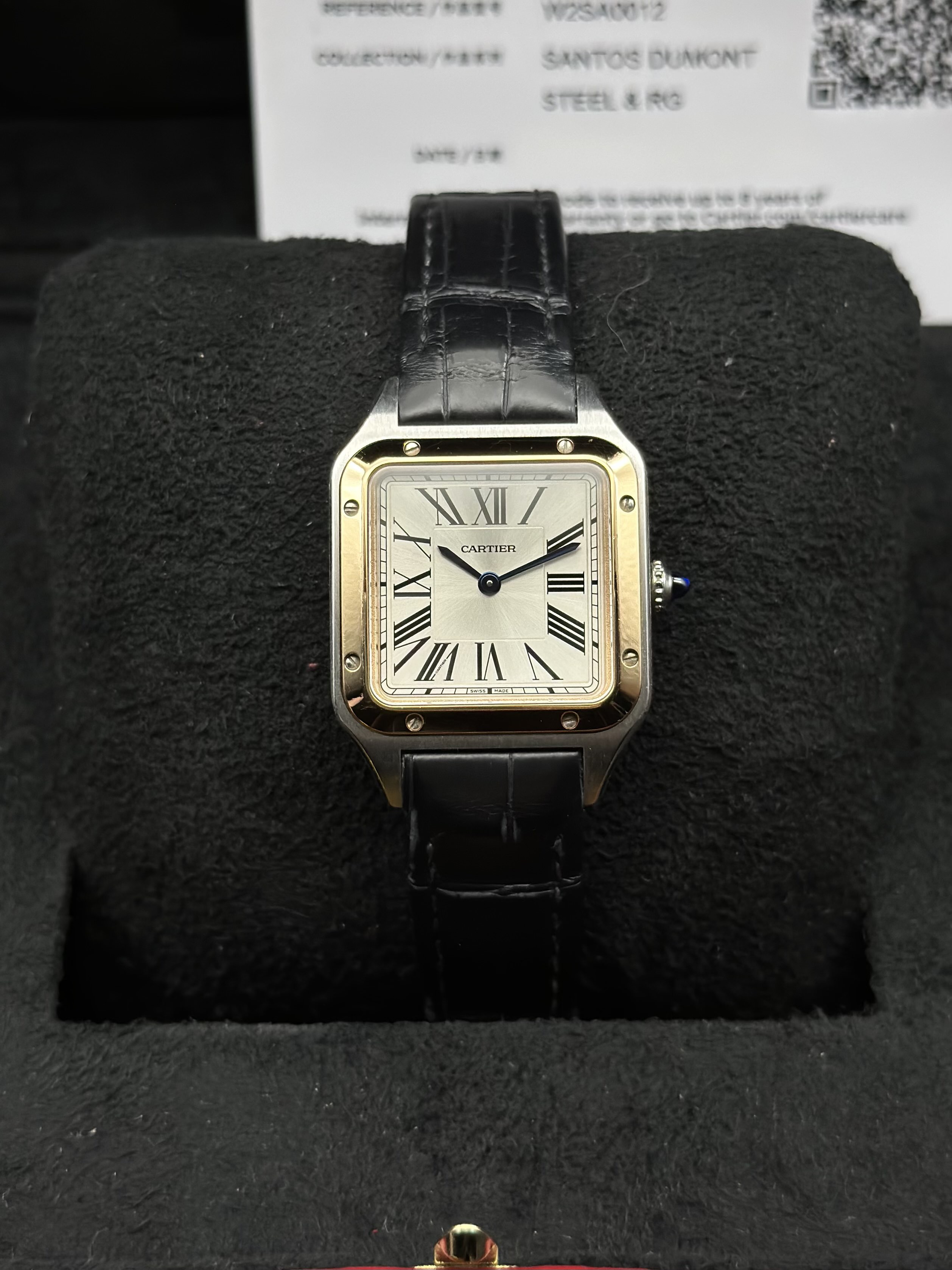 Cartier W2SA0012
