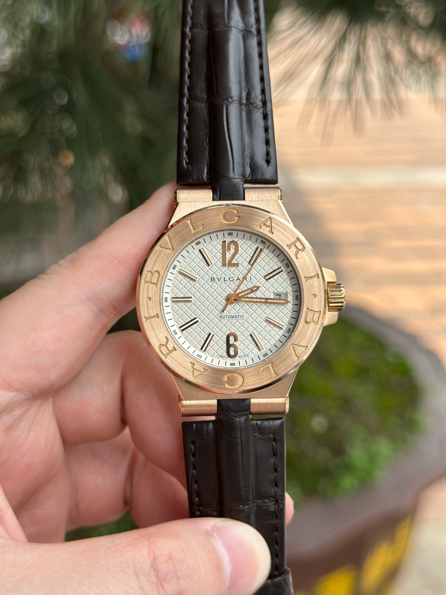 Bulgari DGP40C6GLD