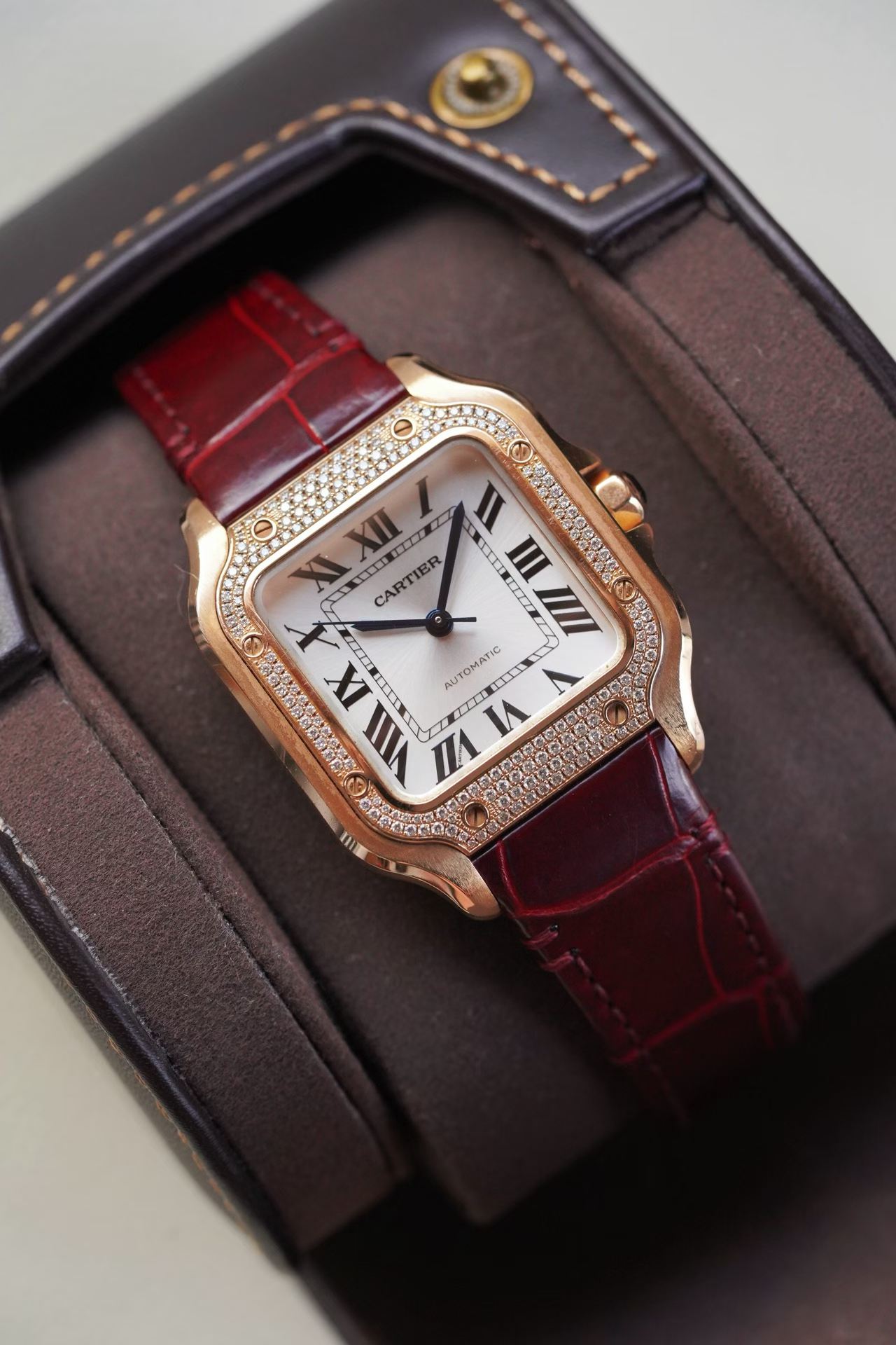 Cartier WJSA0007 detail 1