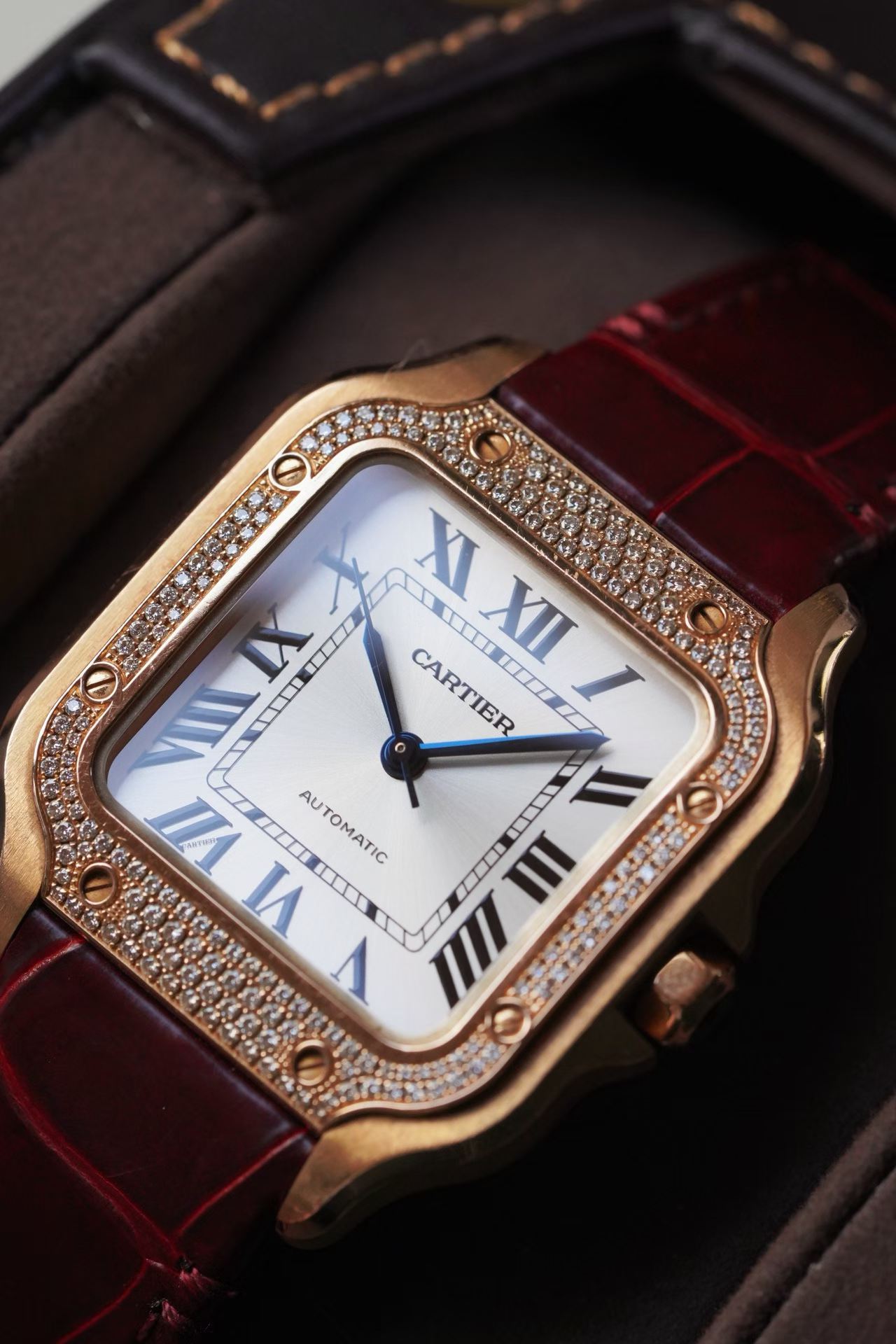 Cartier WJSA0007 detail 2