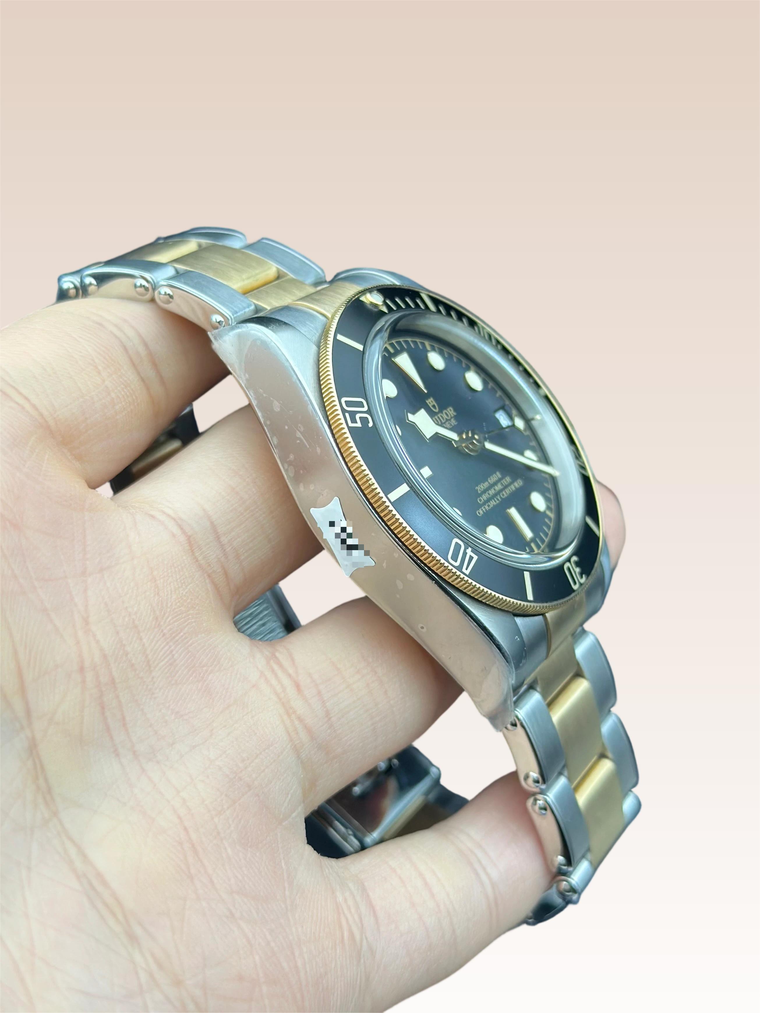 Tudor 79733N-0008 detail 2