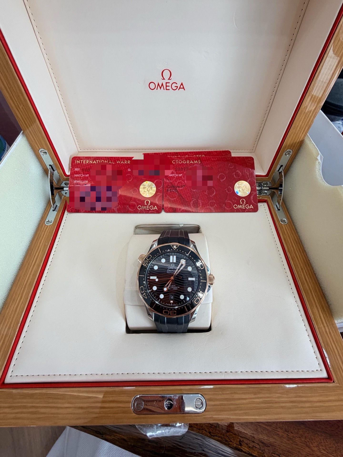 Omega 210.22.42.20.01.002 detail 5