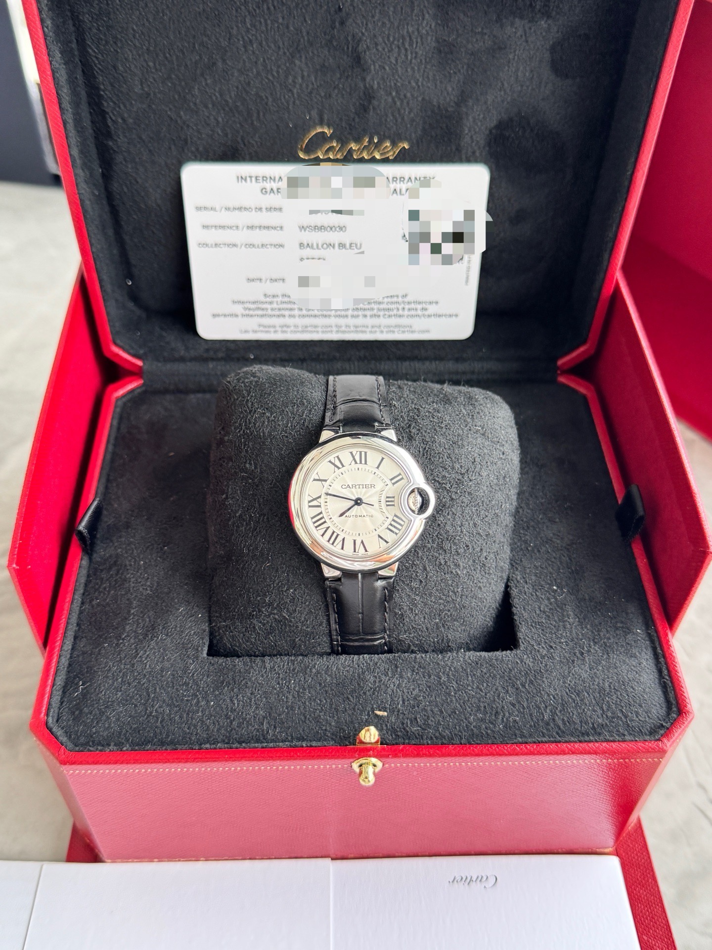 Cartier WSBB0030