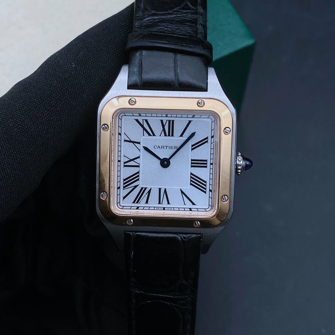 Cartier W2SA0012