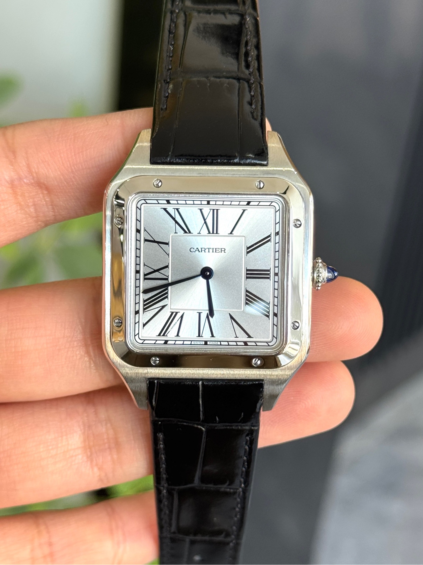 Cartier WSSA0032