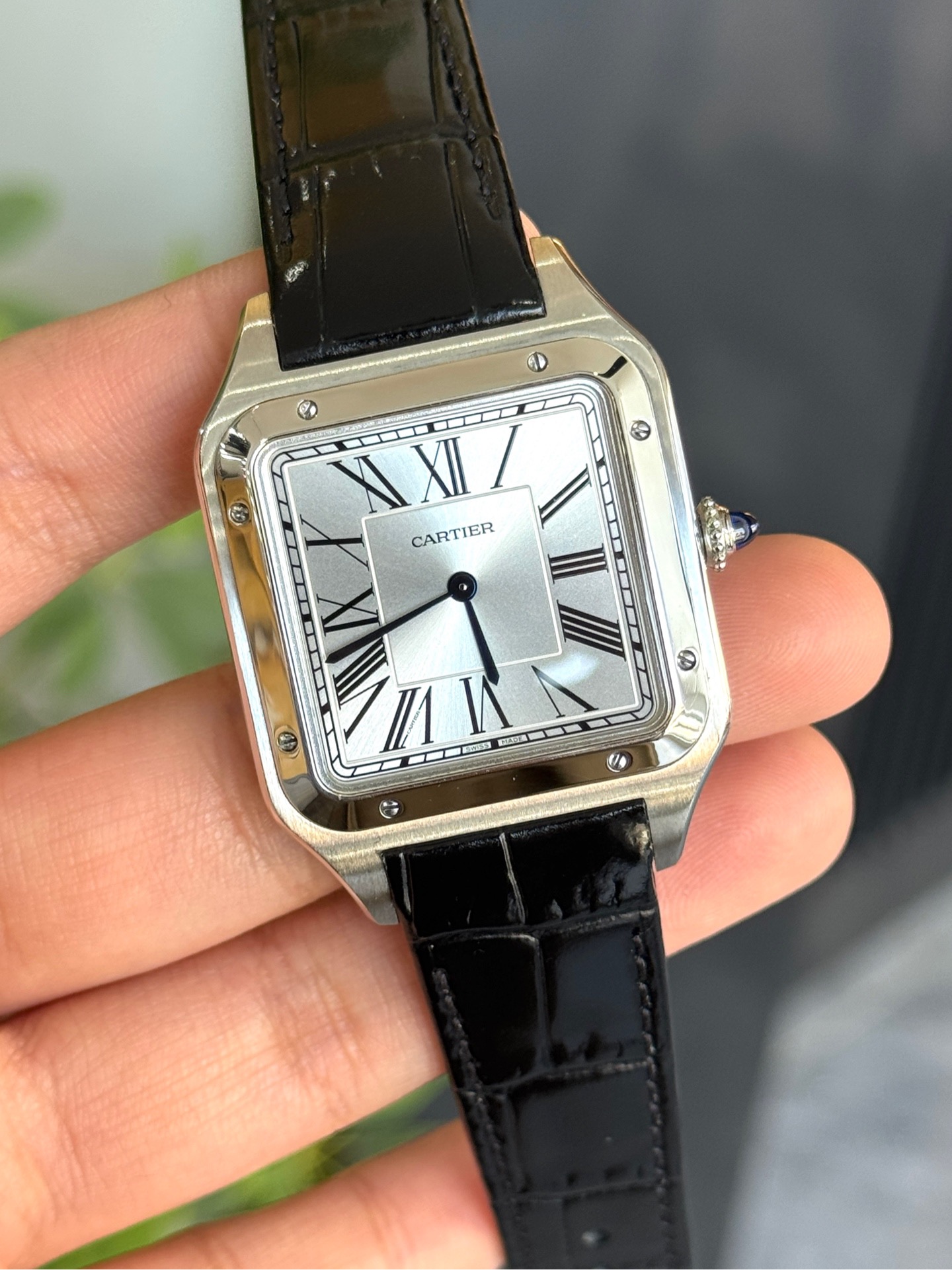 Cartier WSSA0032 detail 1