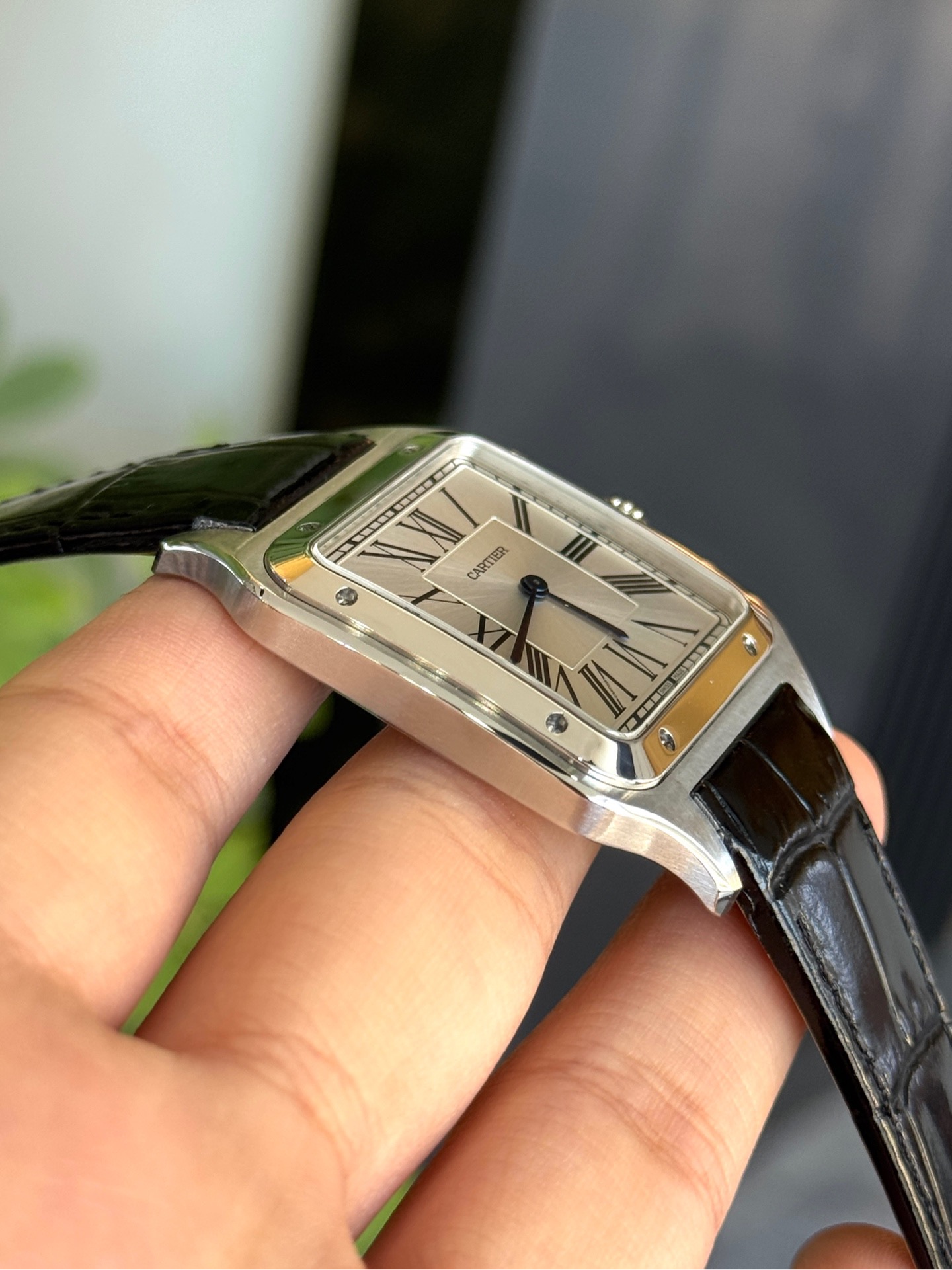 Cartier WSSA0032 detail 3