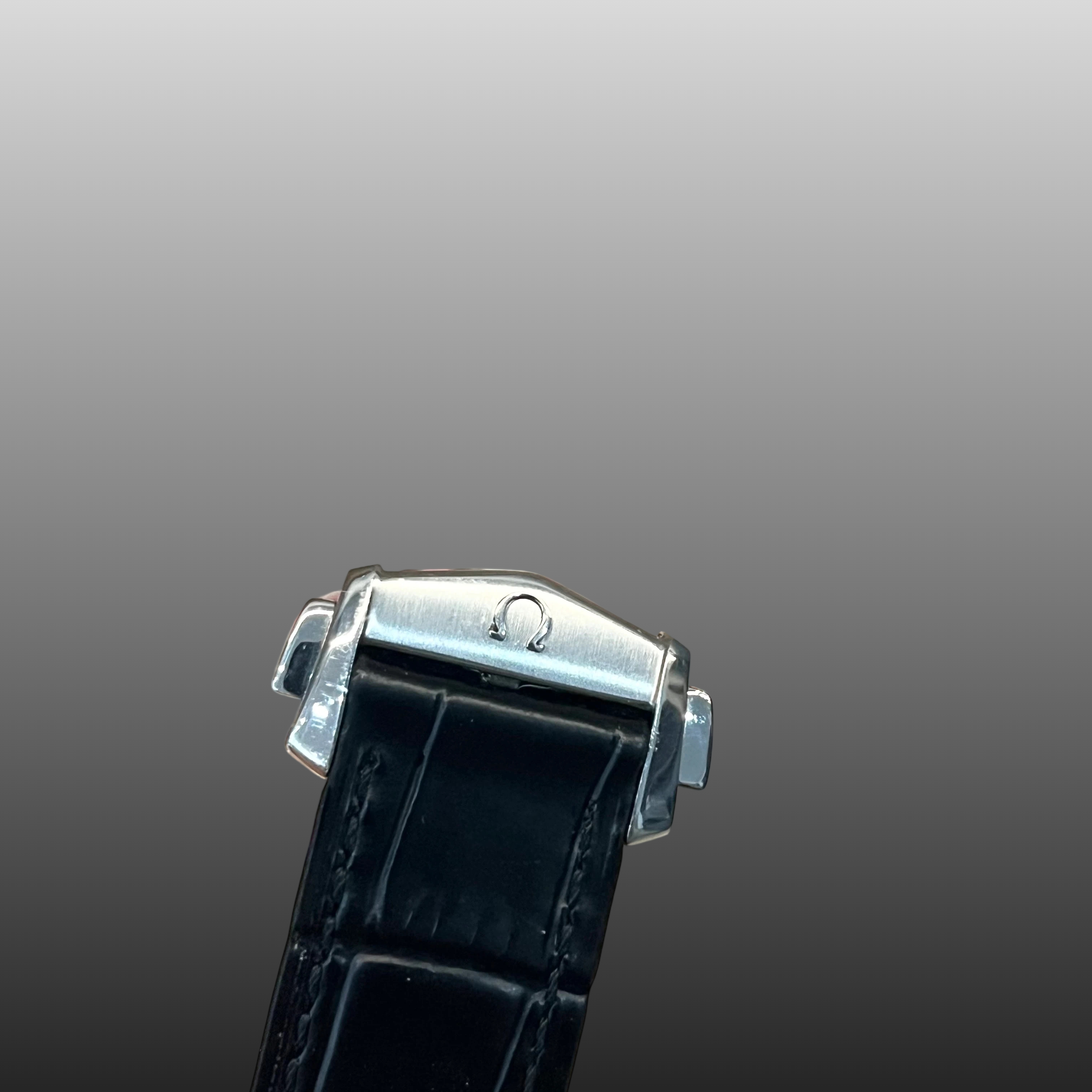 Omega 220.13.41.21.03.001 detail 6