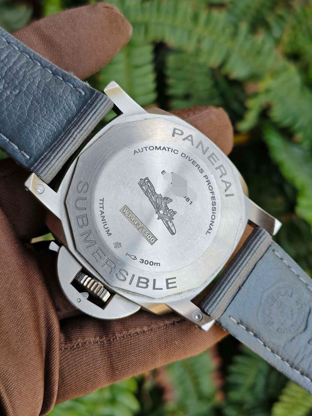 Panerai PAM02305 detail 5