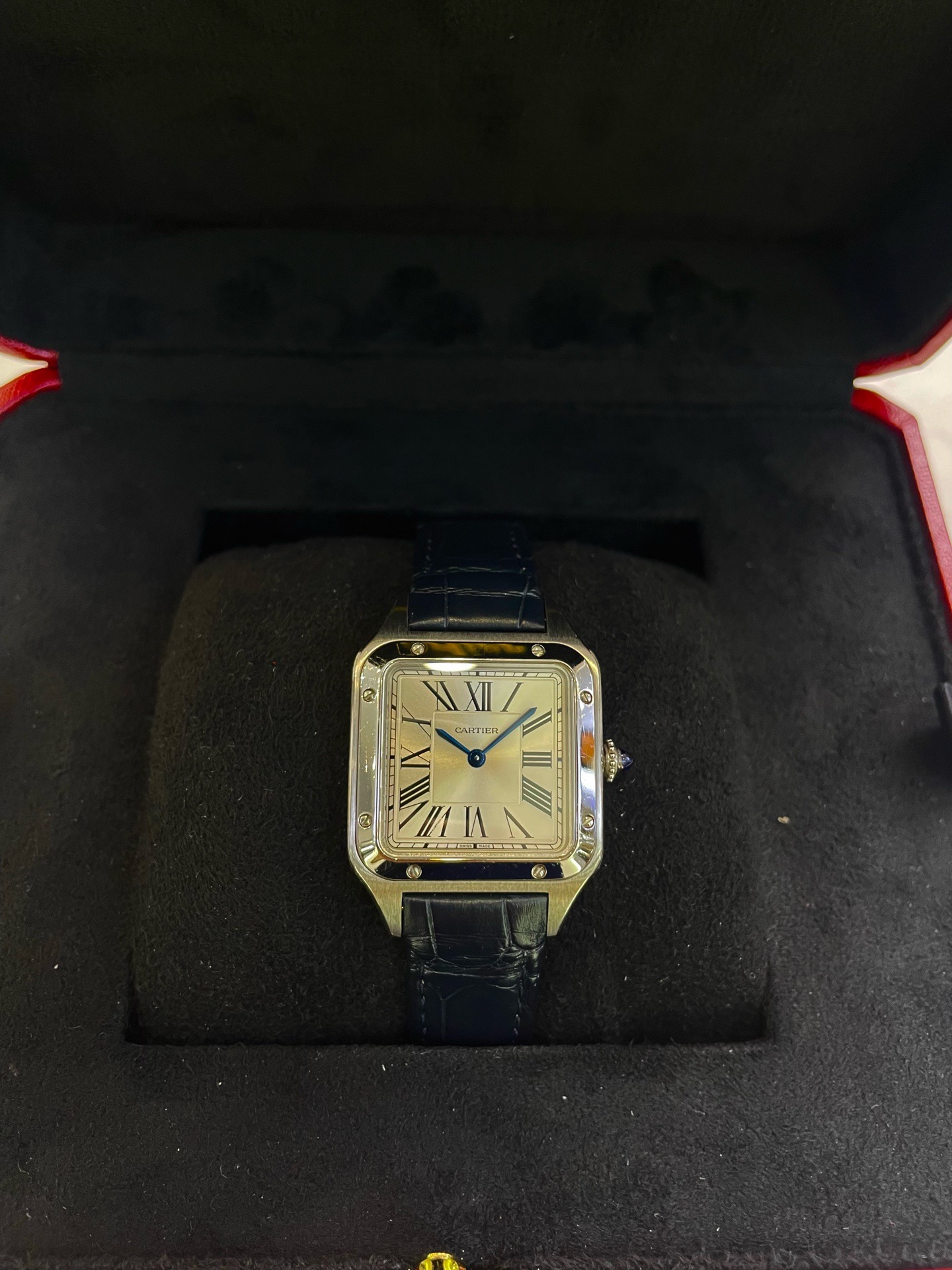 Cartier WSSA0023