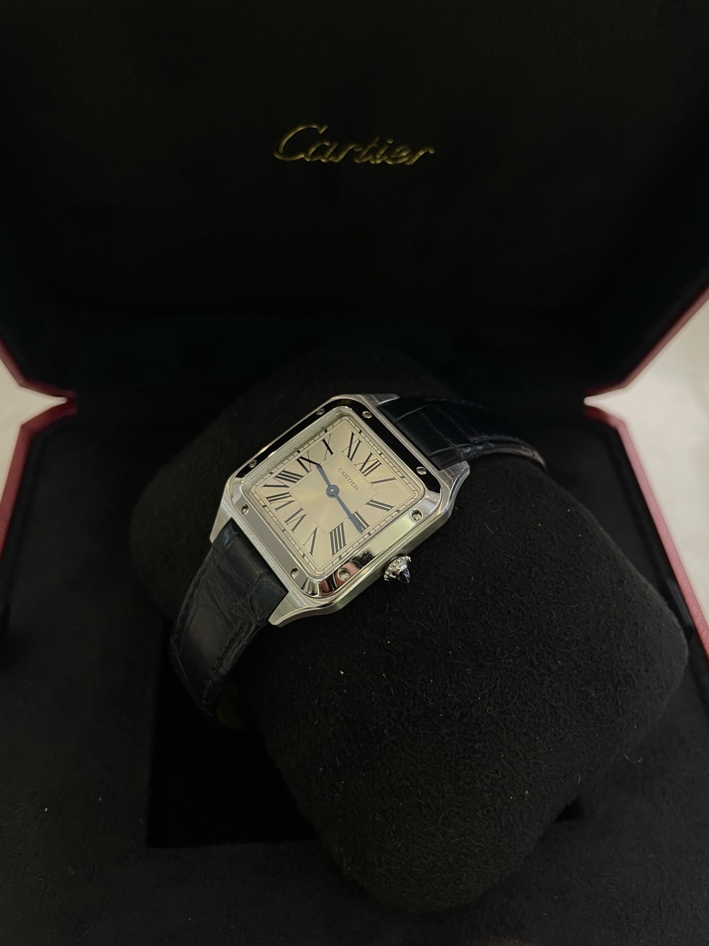 Cartier WSSA0023 detail 1