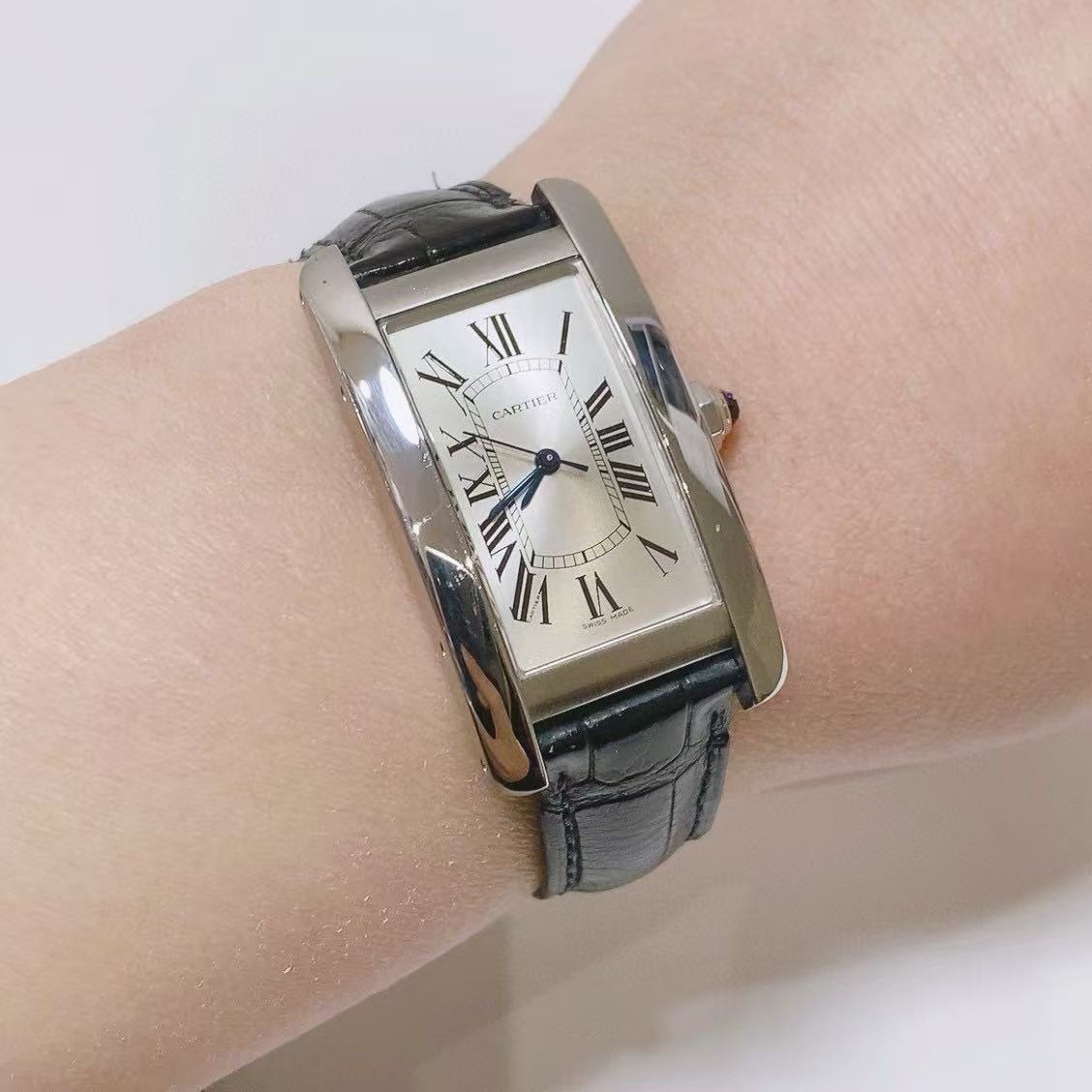 Cartier WSTA0017 detail 1