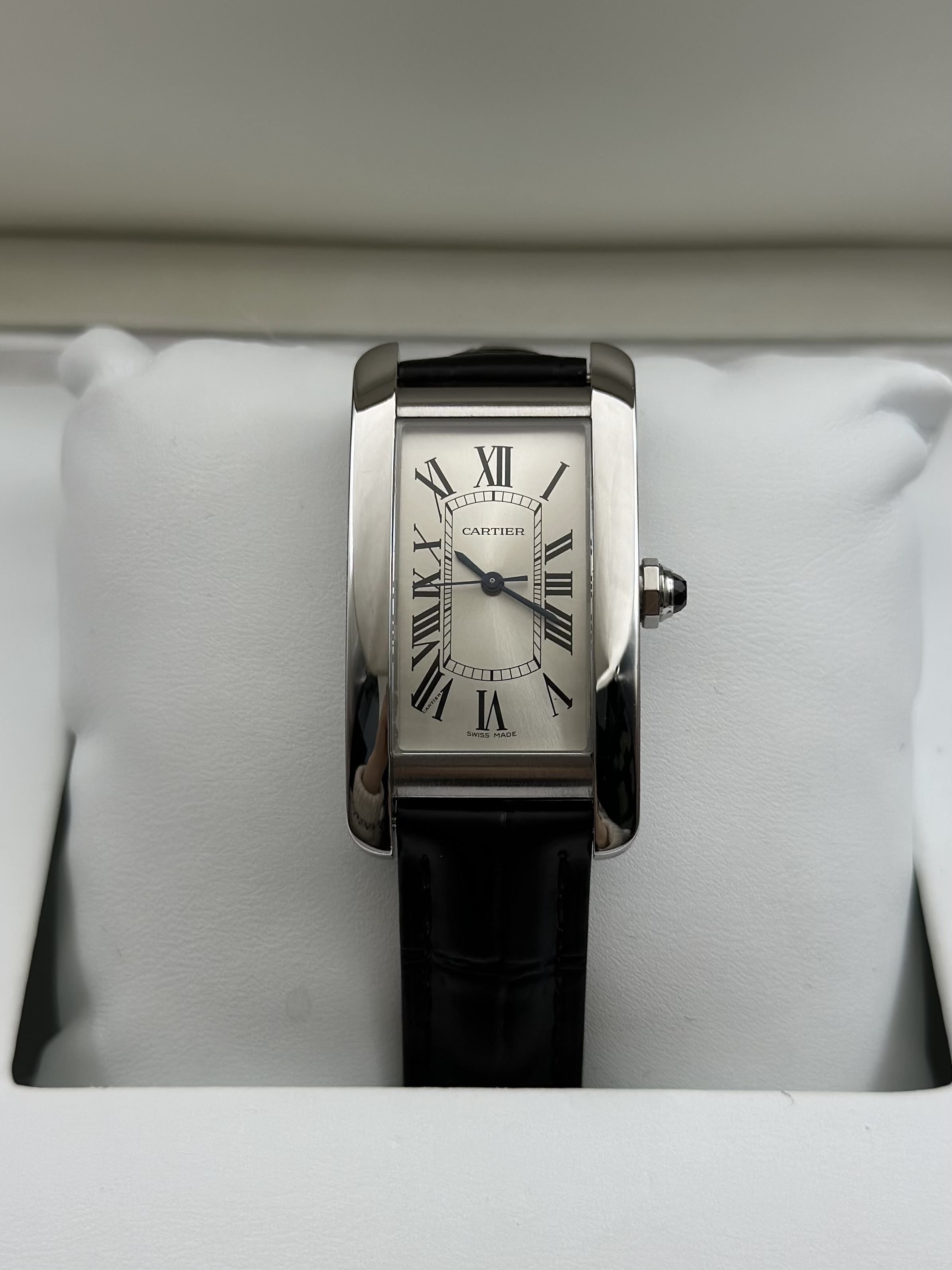 Cartier WSTA0017