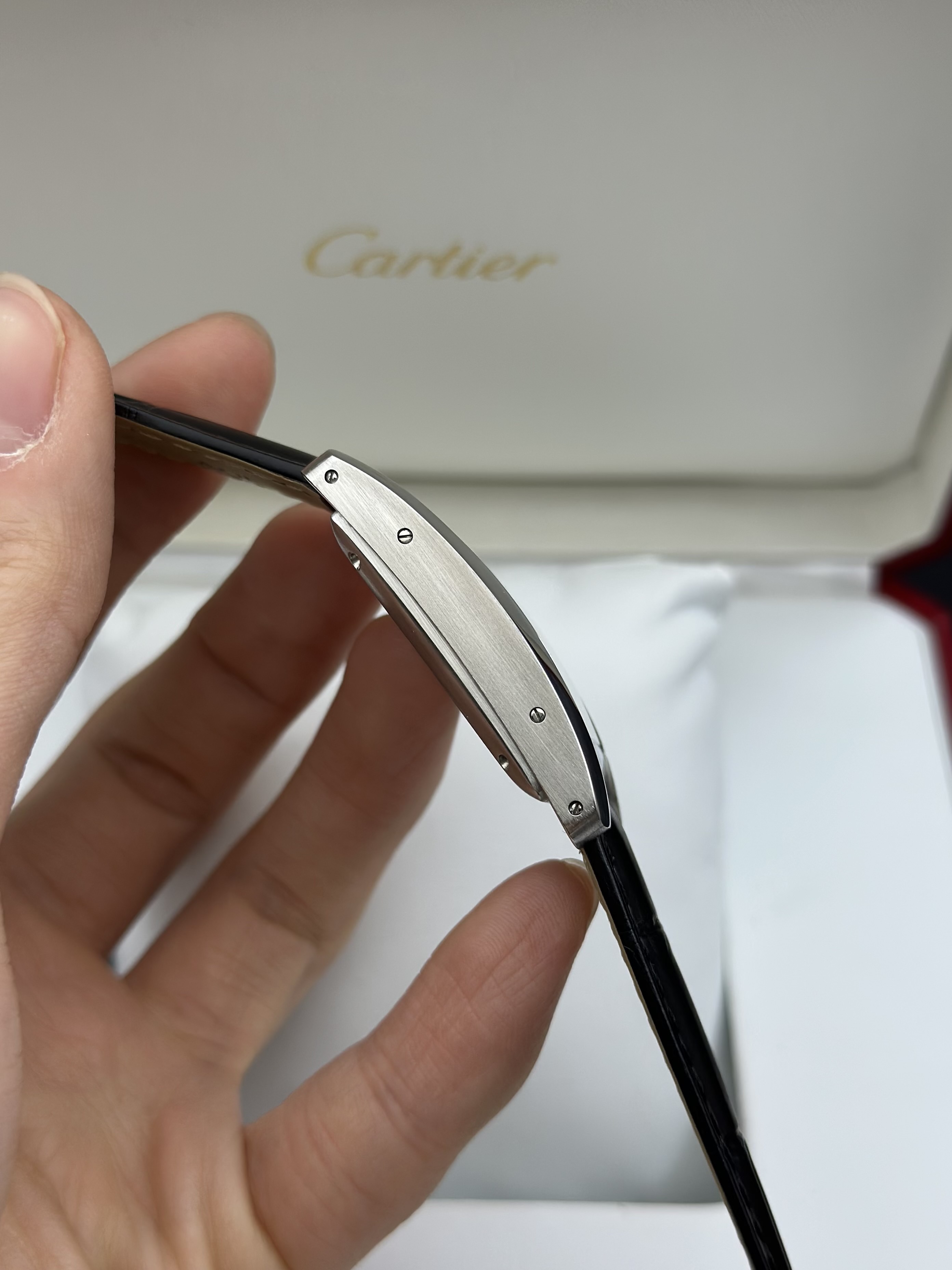 Cartier WSTA0017 detail 2