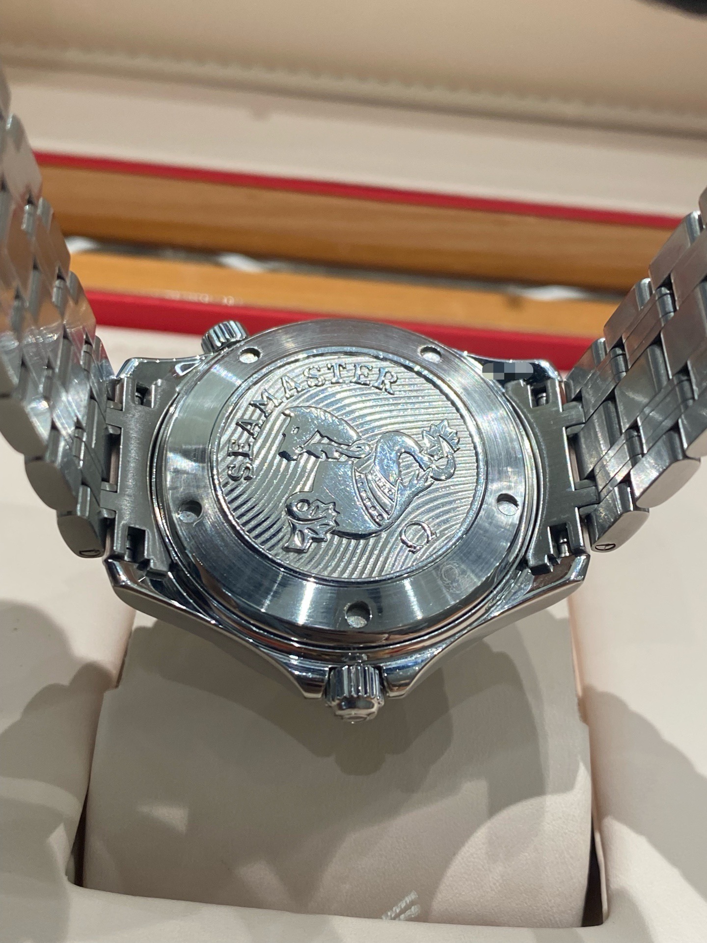 Omega 212.30.41.20.01.003 detail 5