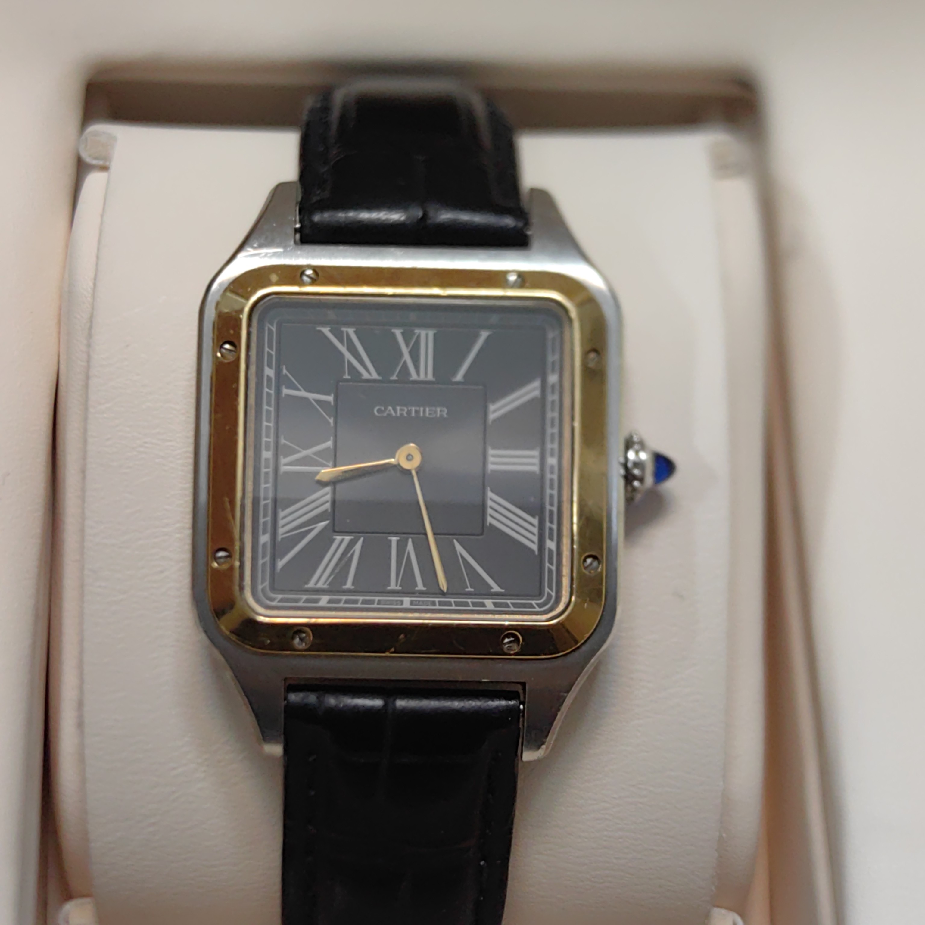 Cartier W2SA0015