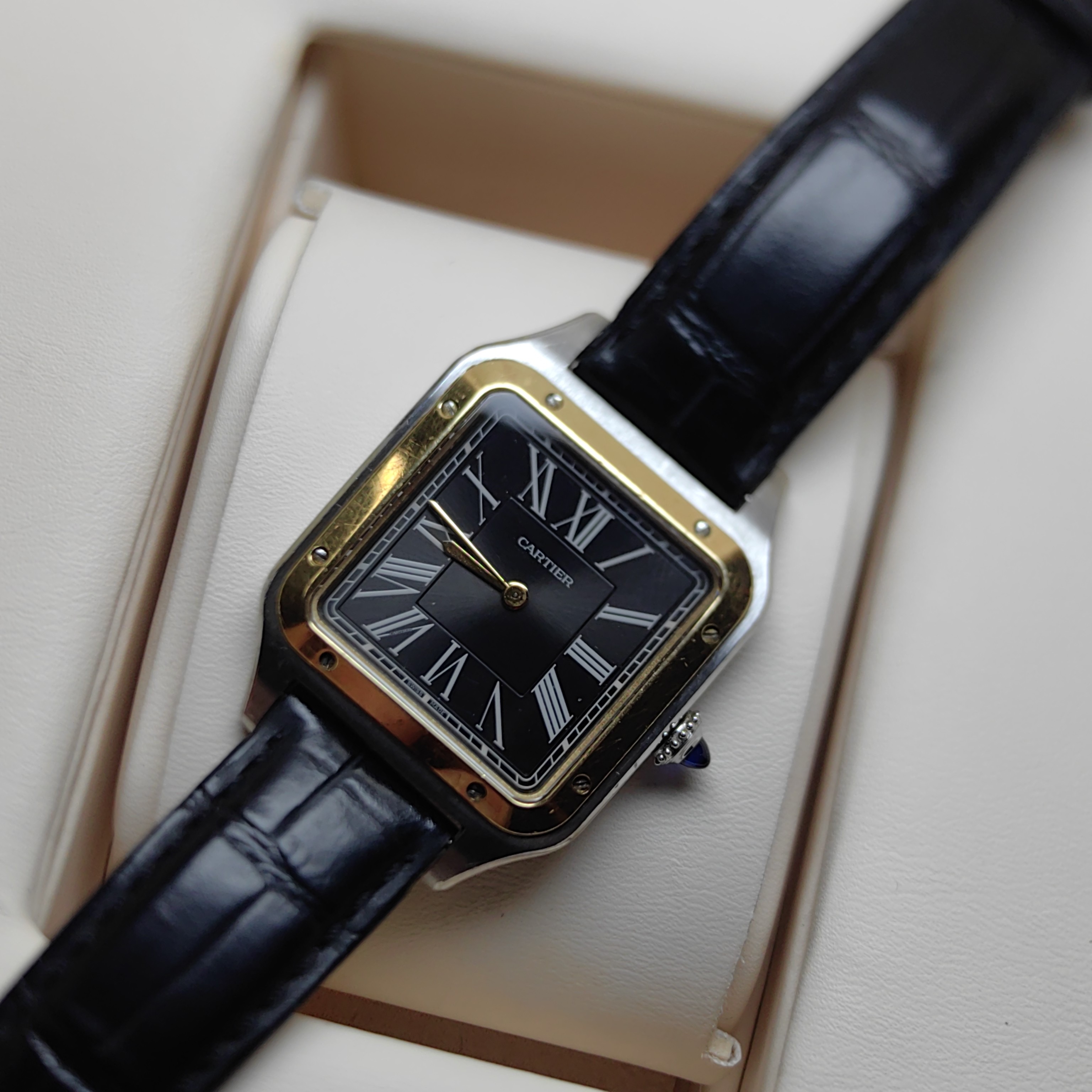 Cartier W2SA0015 detail 4