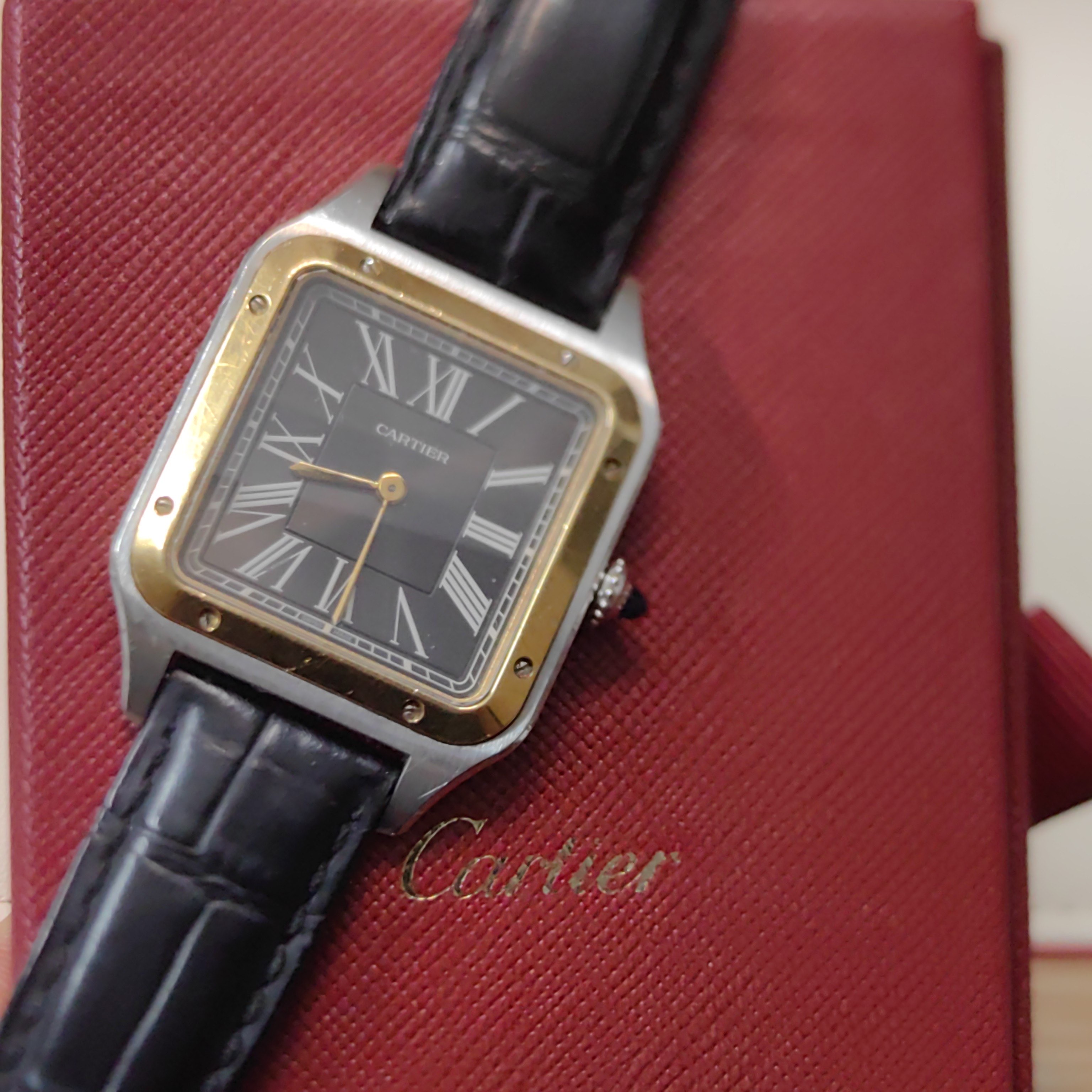 Cartier W2SA0015 detail 5