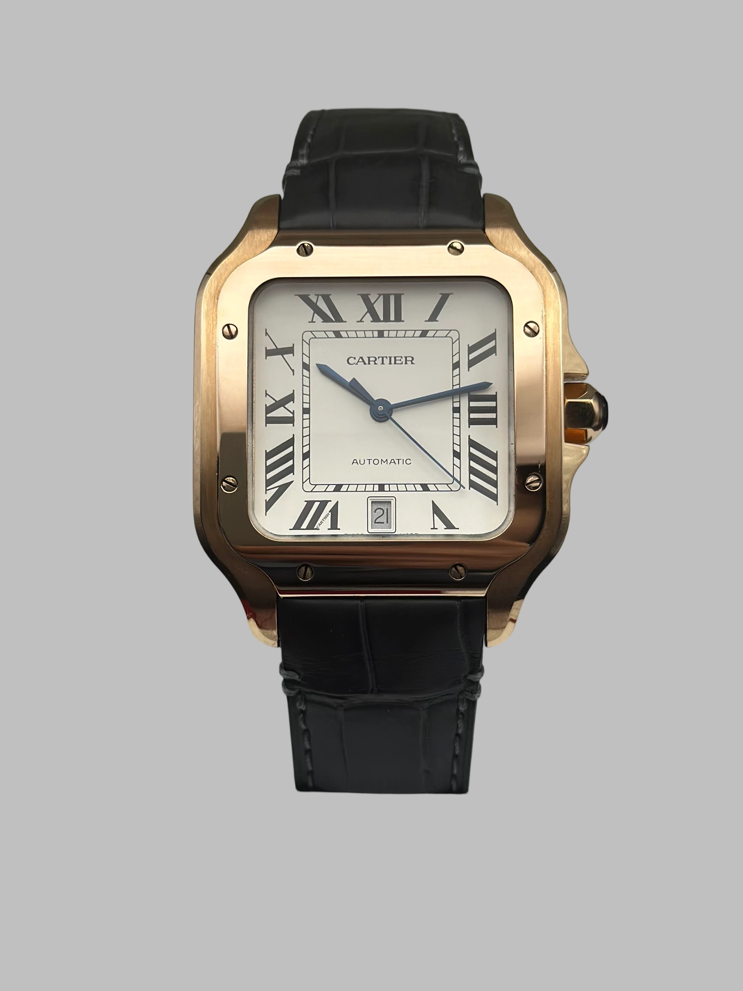 Cartier WGSA0011