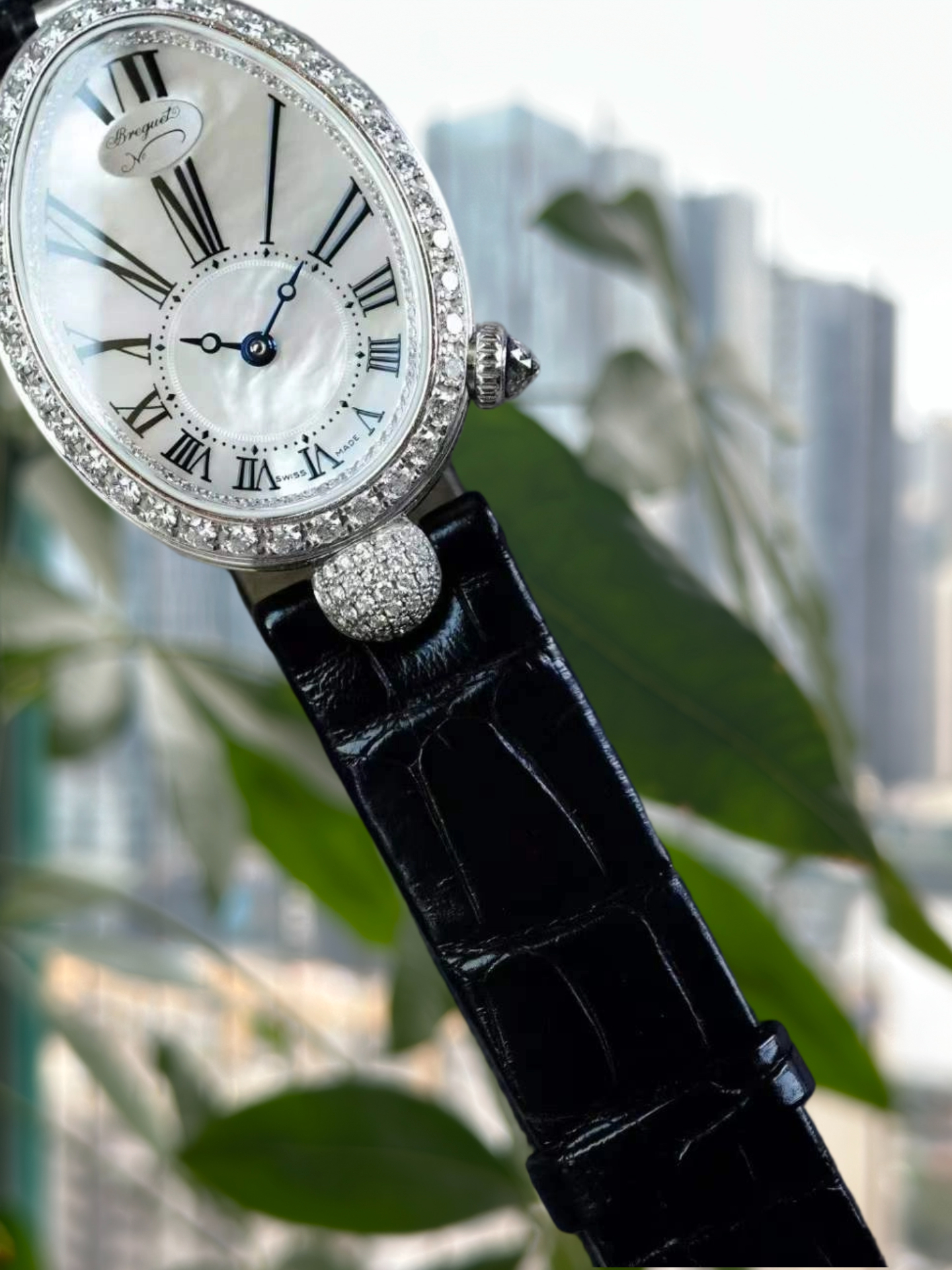 Breguet 8928bb detail 1