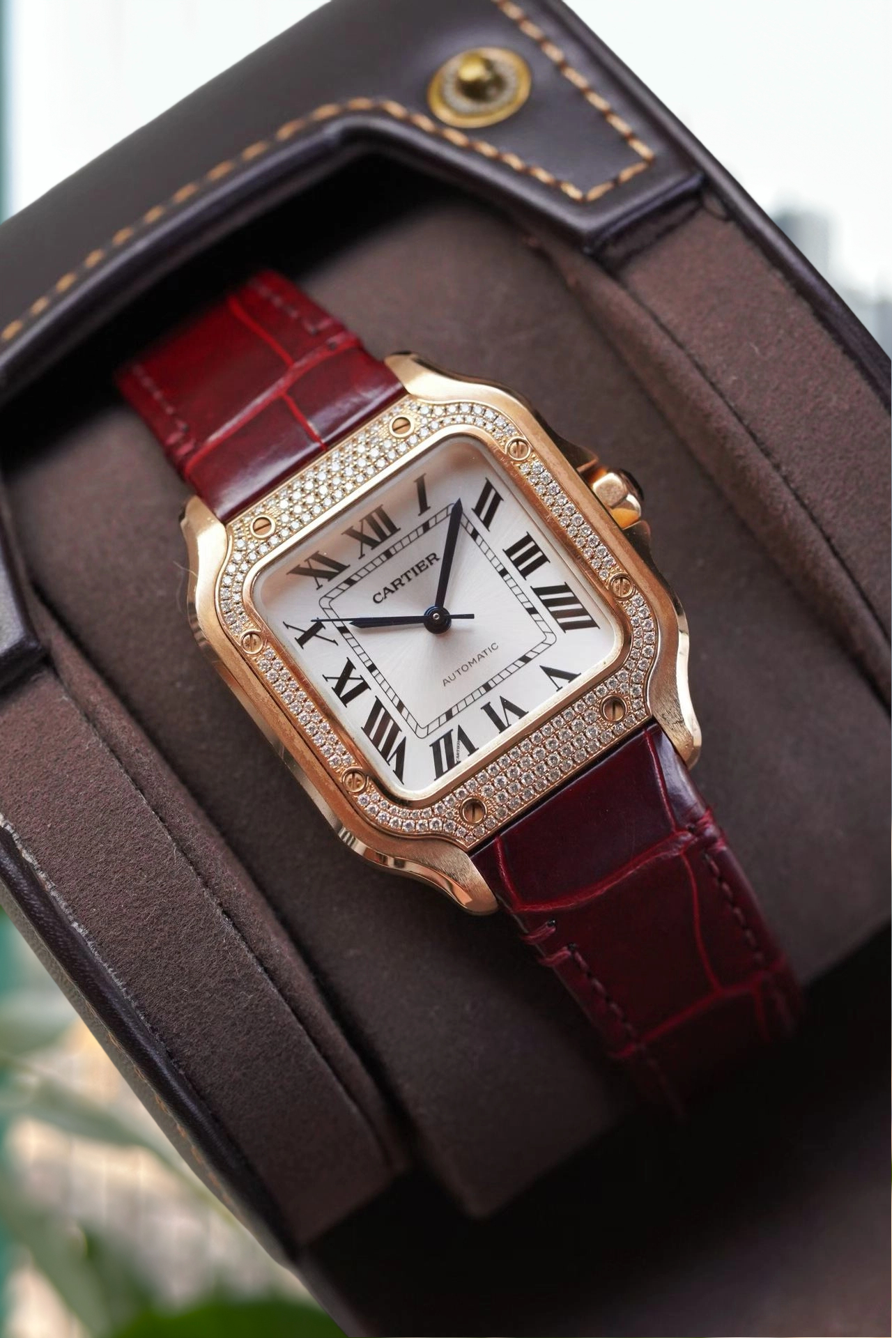 Cartier WJSA0007 detail 5