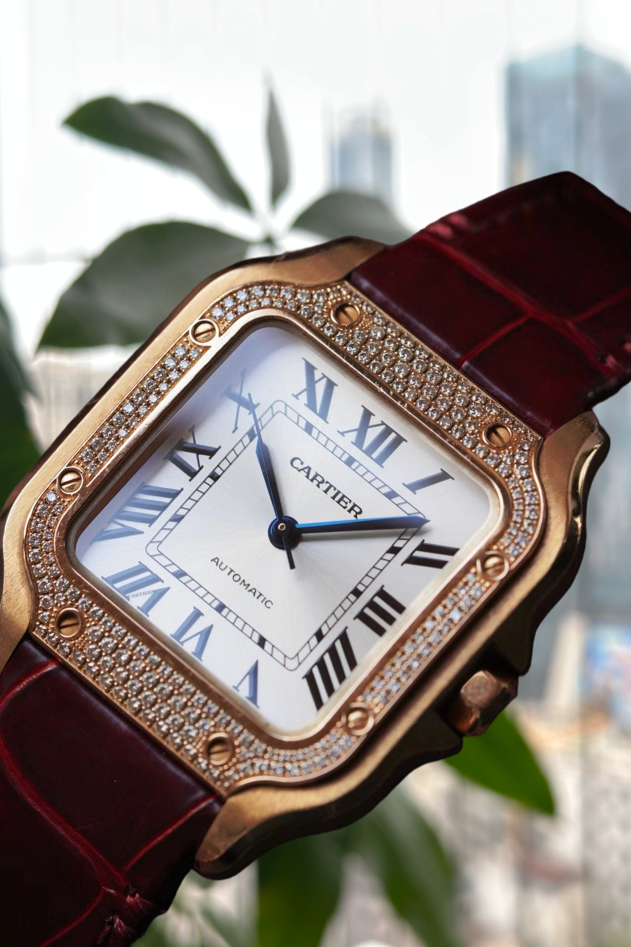 Cartier WJSA0007 detail 6