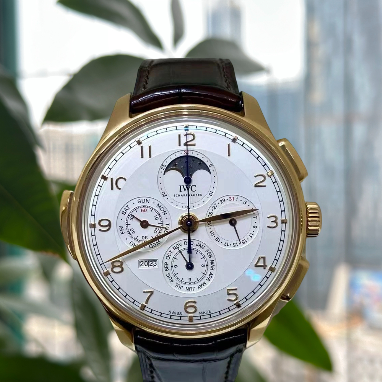 IWC IW377602