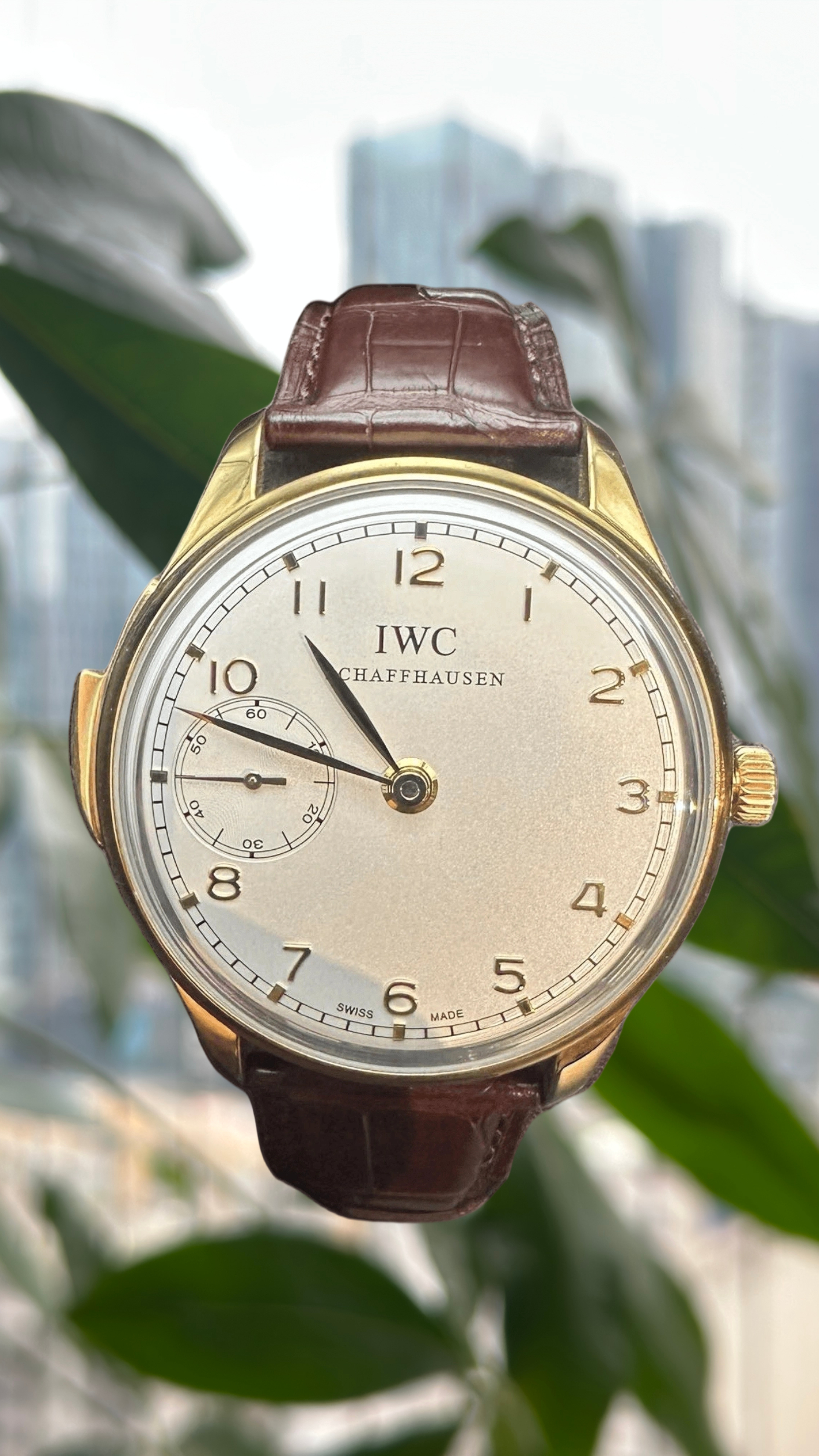 IWC IW524202