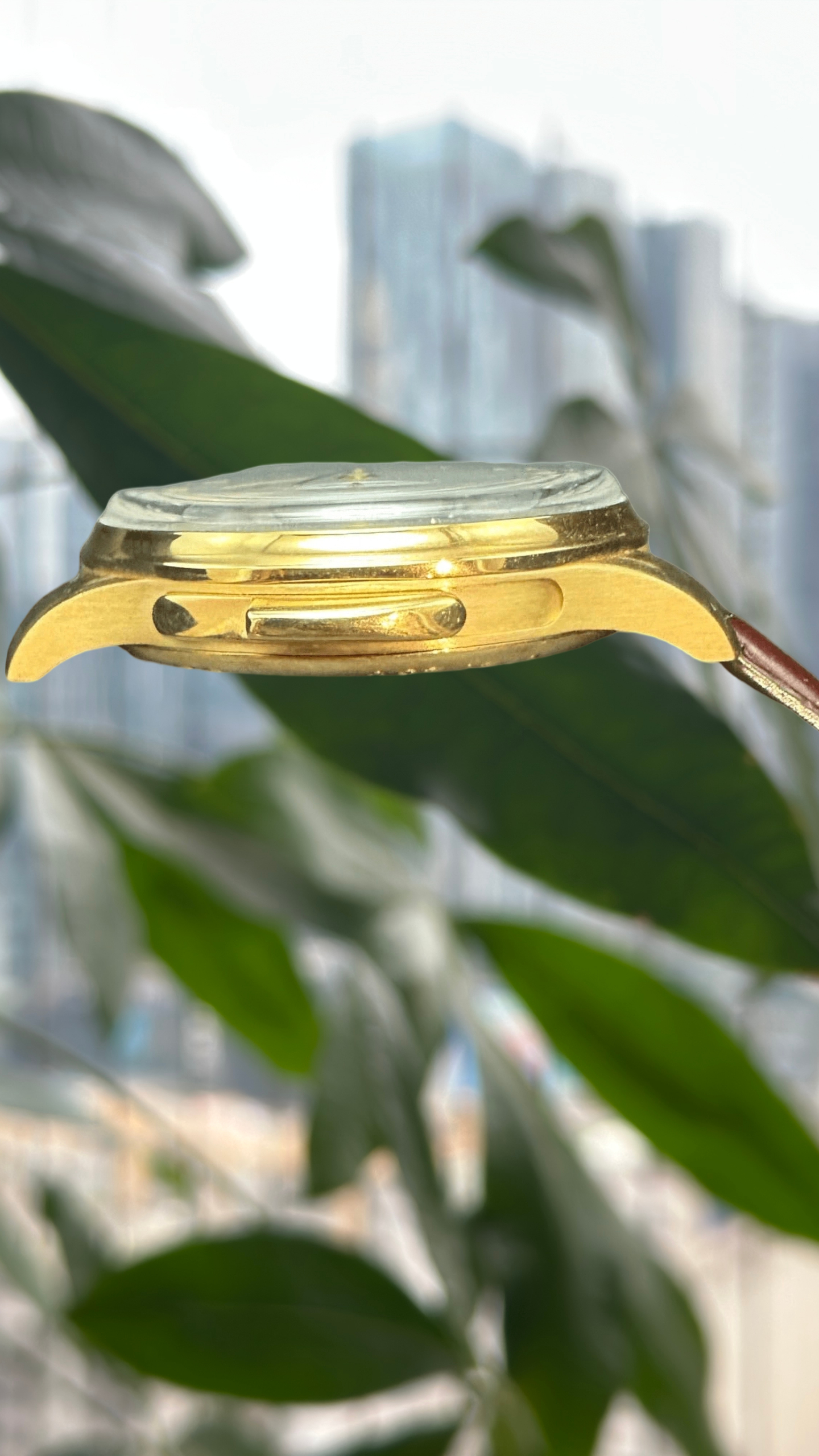 IWC IW524202 detail 1
