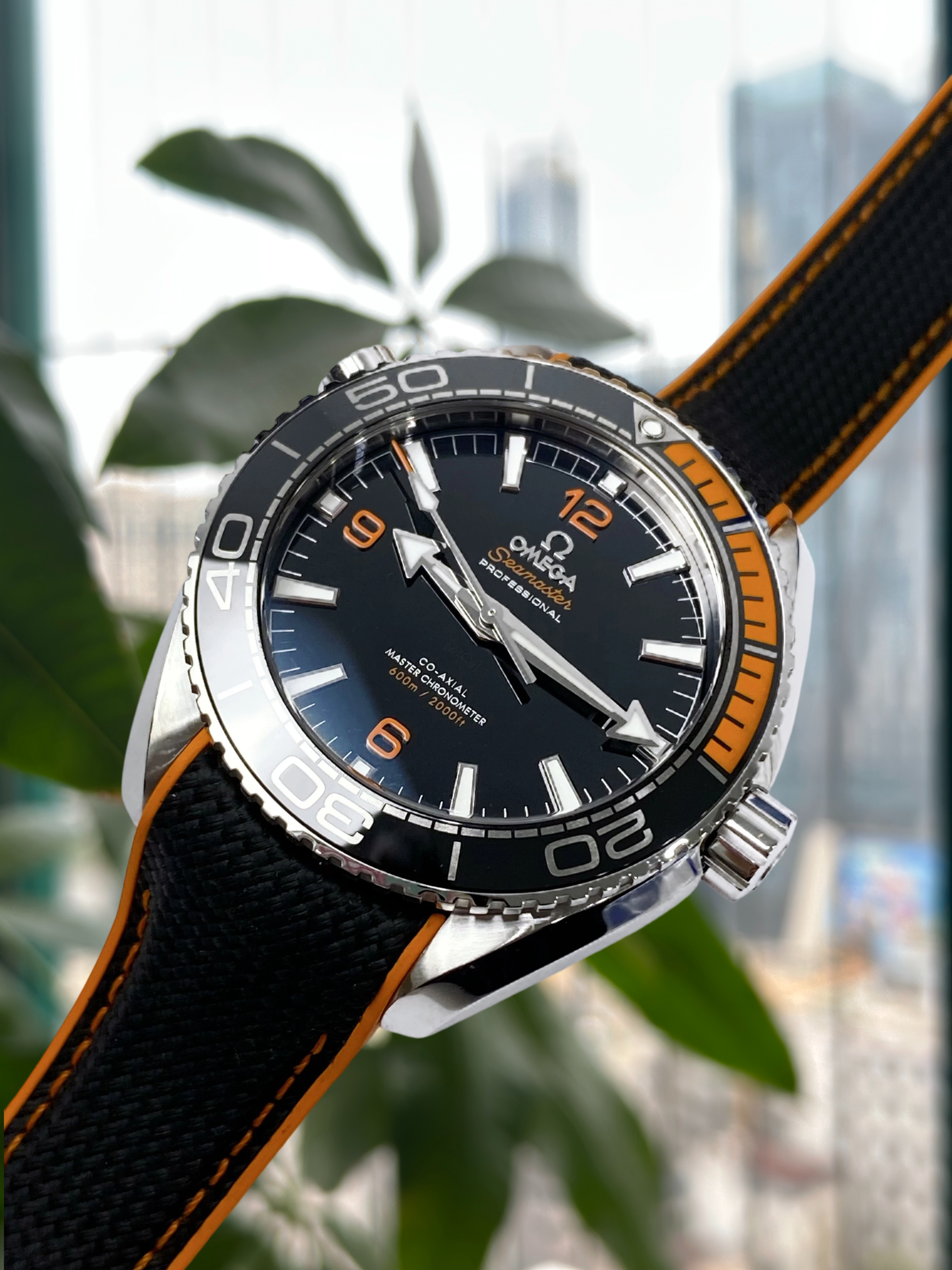 Omega 215.32.44.21.01.001 detail 1