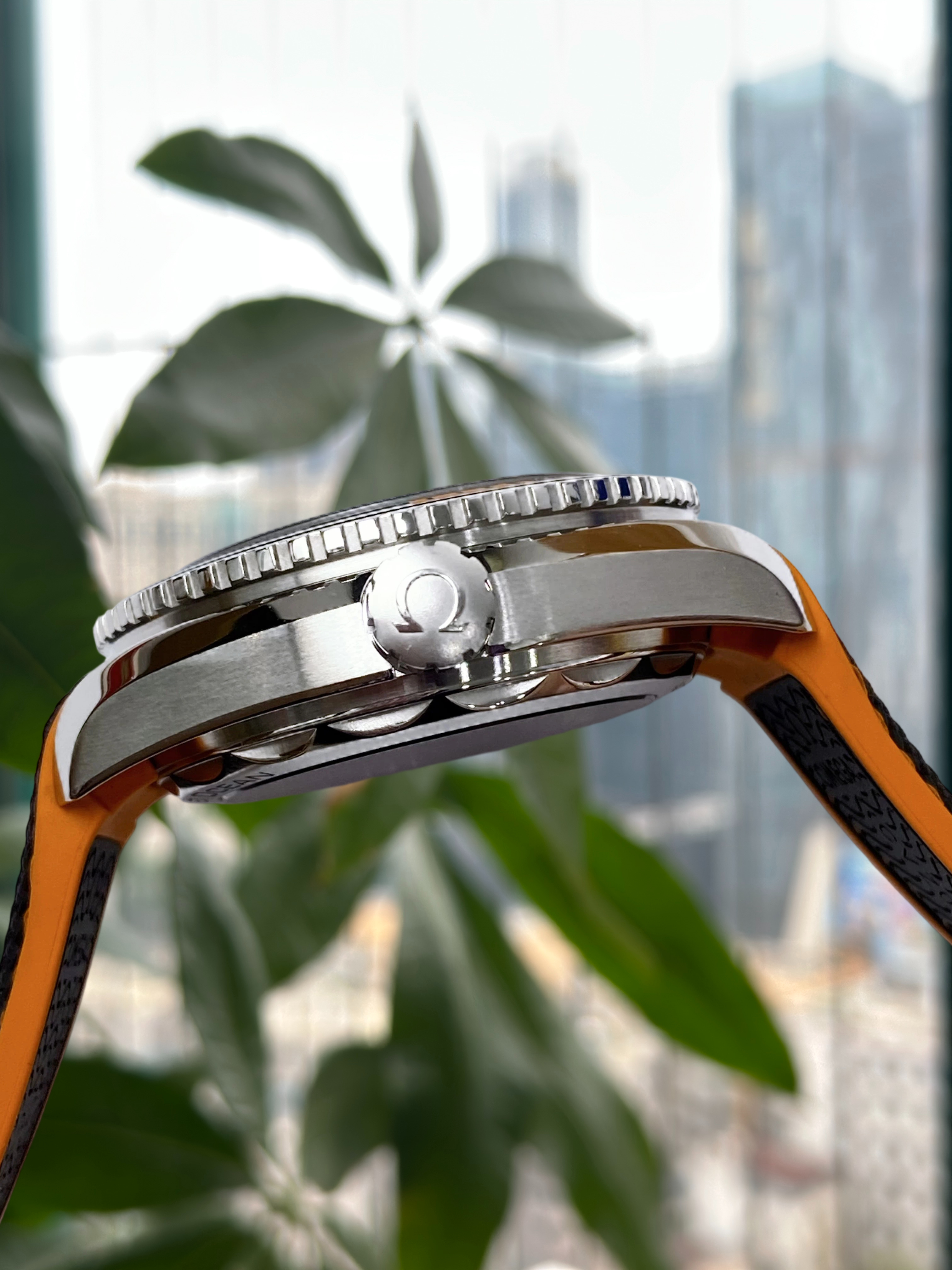 Omega 215.32.44.21.01.001 detail 4