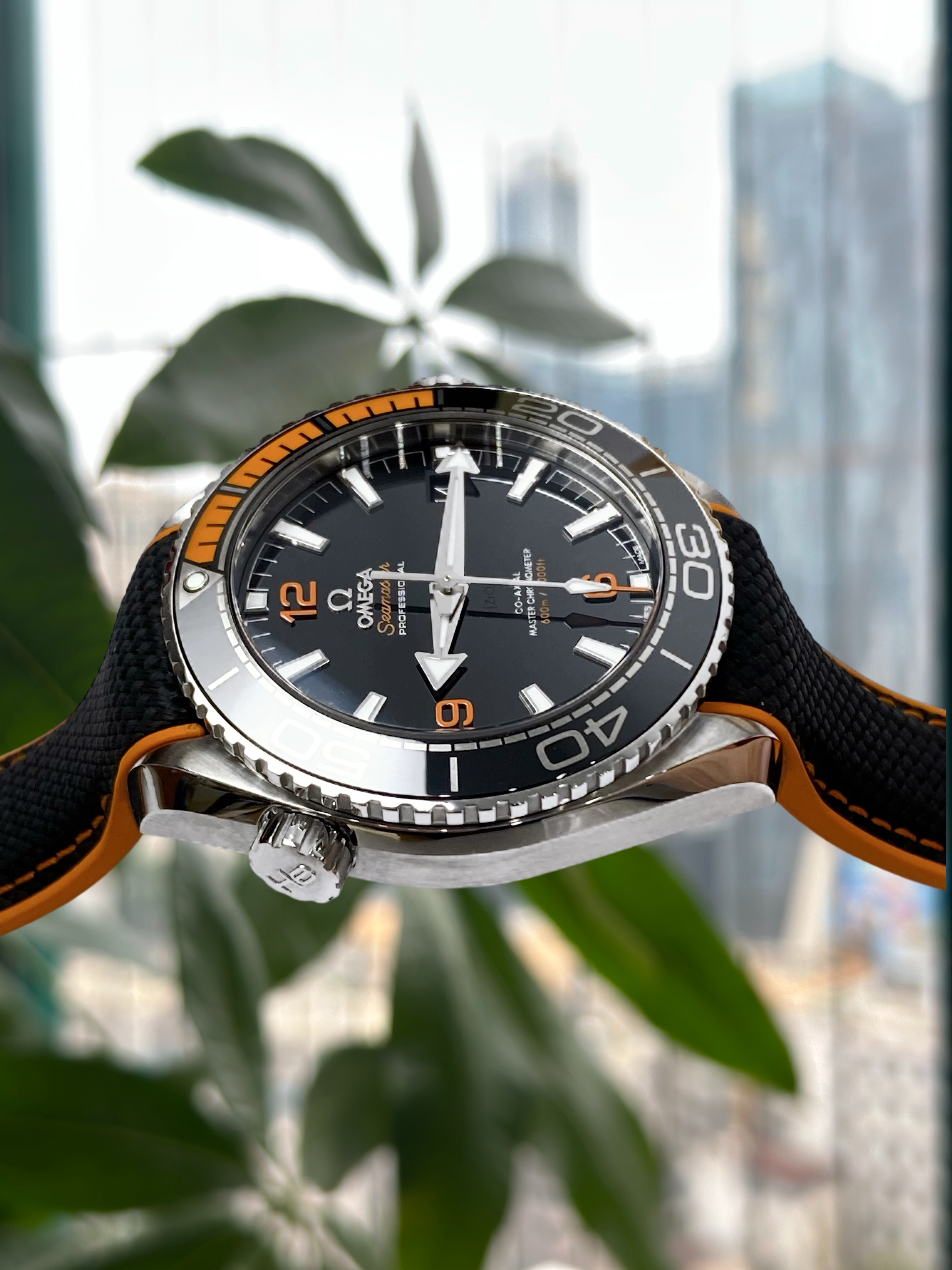 Omega 215.32.44.21.01.001 detail 2