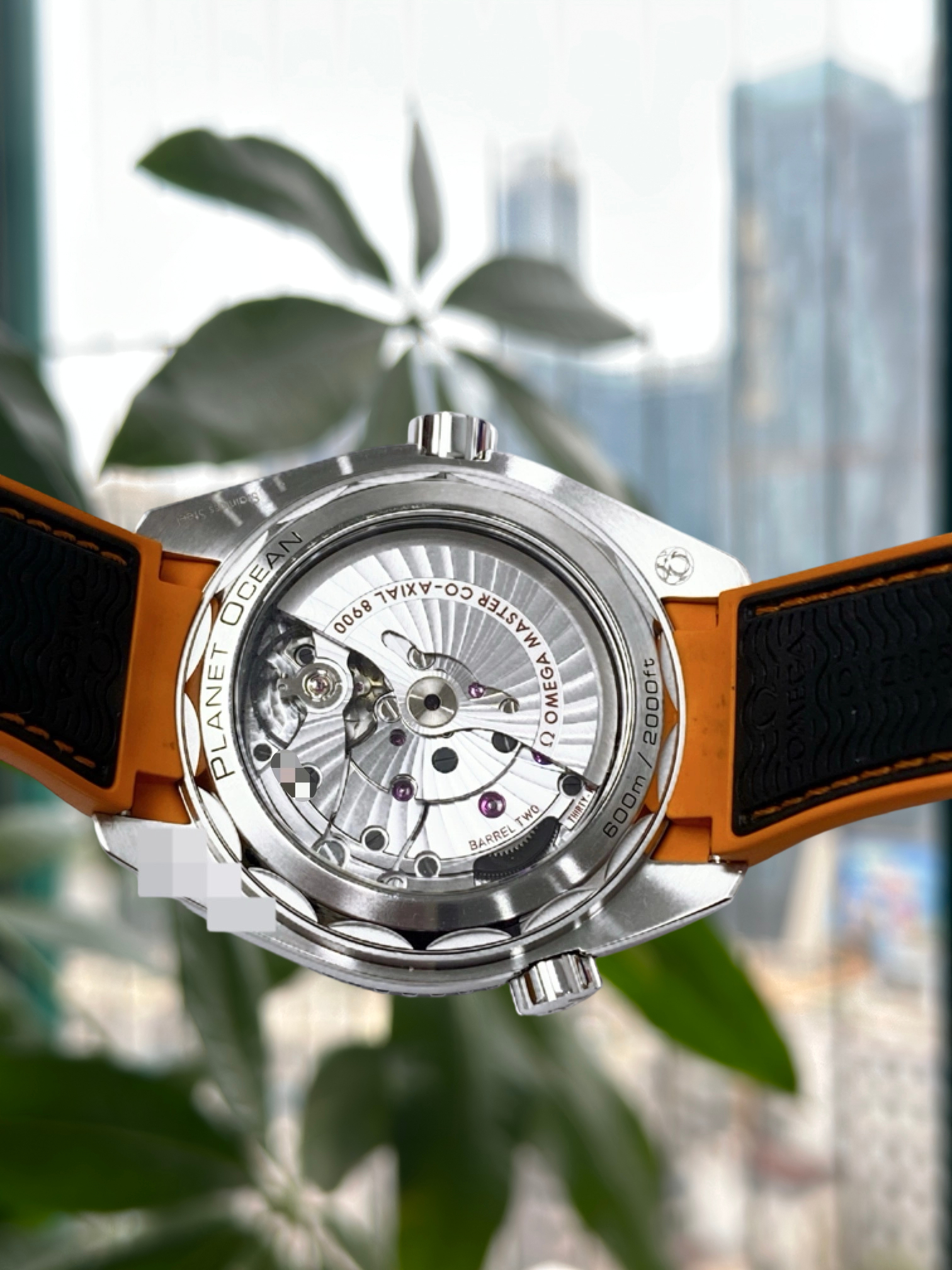 Omega 215.32.44.21.01.001 detail 5