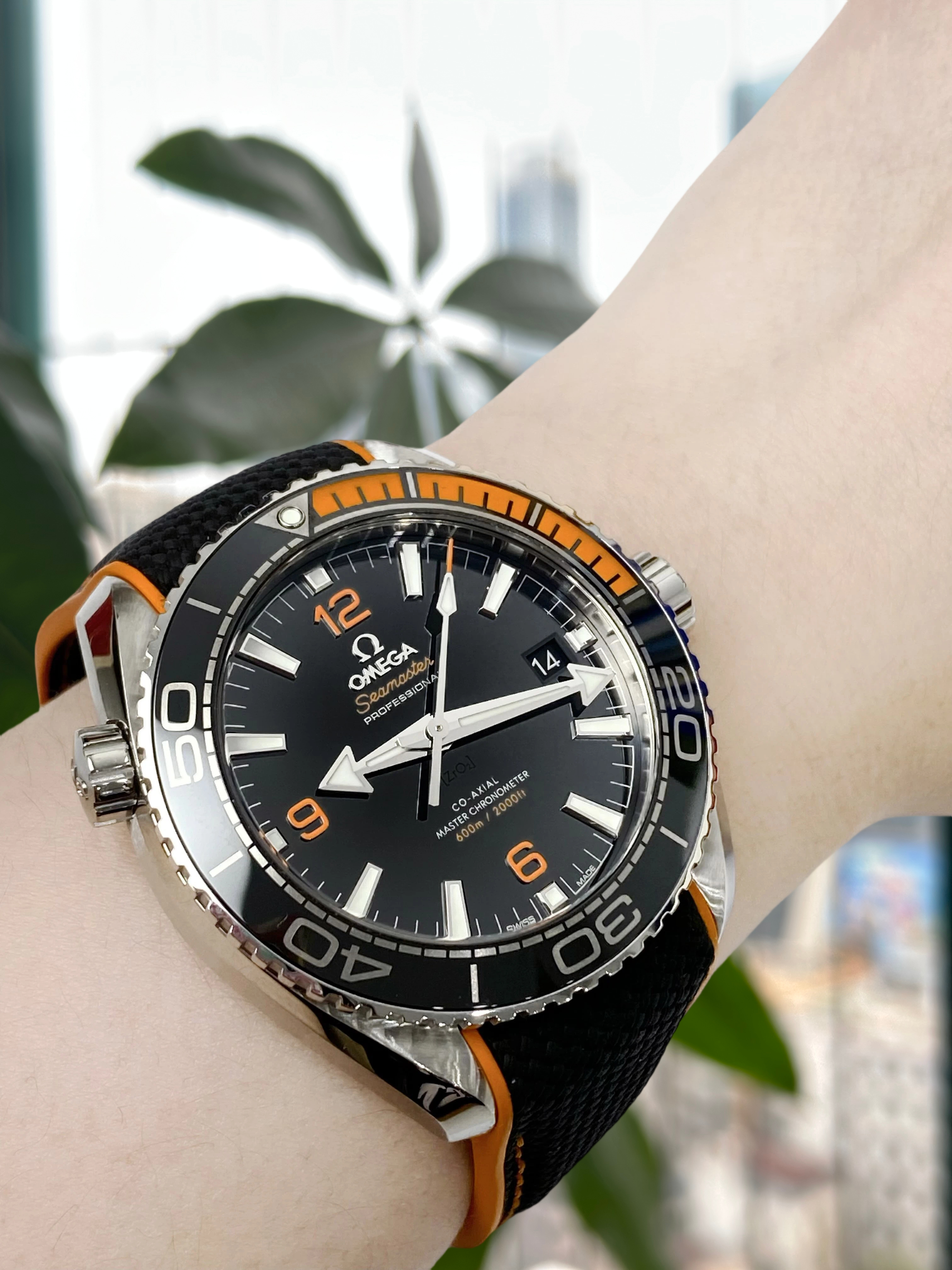 Omega 215.32.44.21.01.001 detail 3