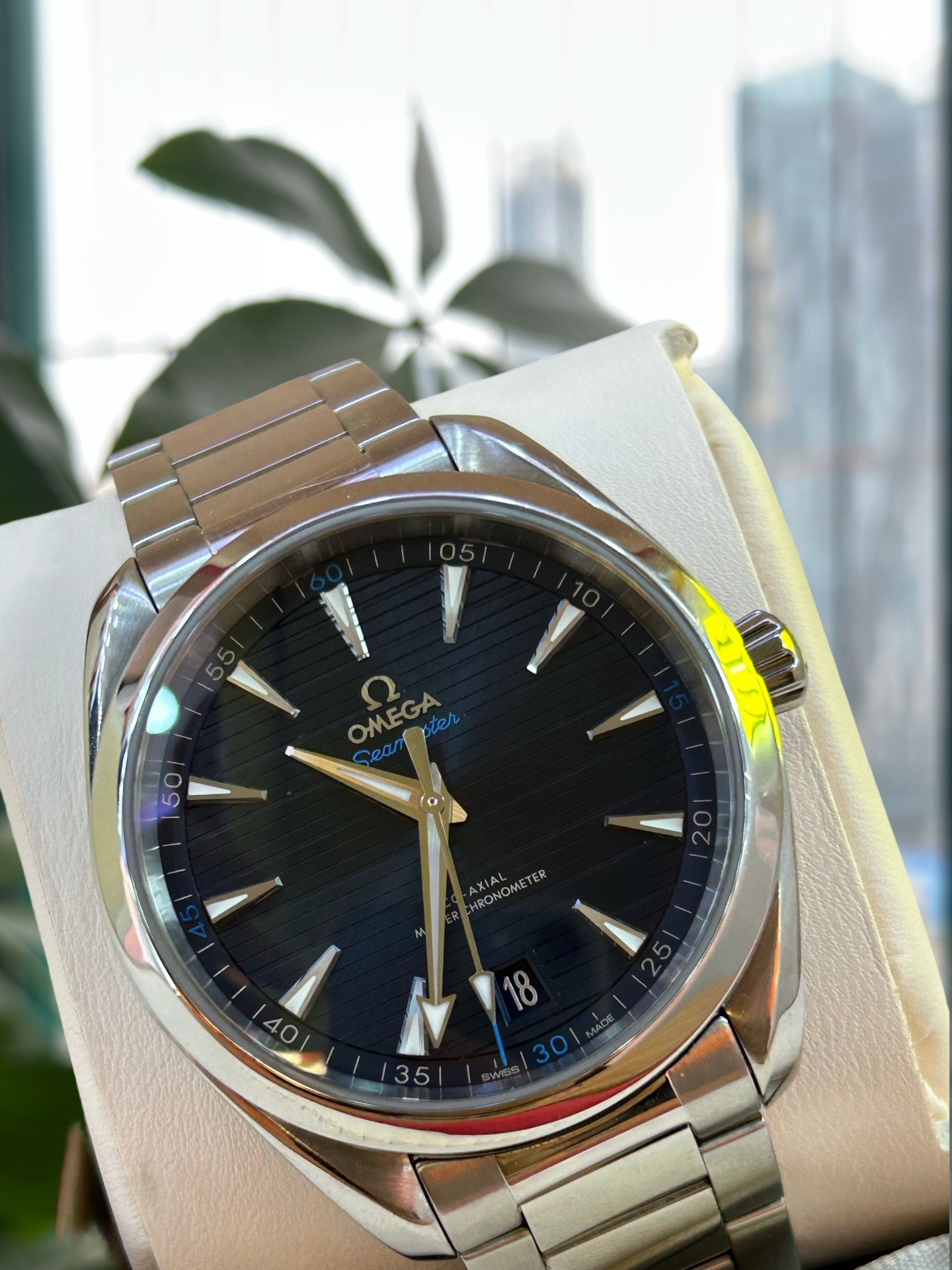 Omega 220.10.41.21.03.001 detail 1