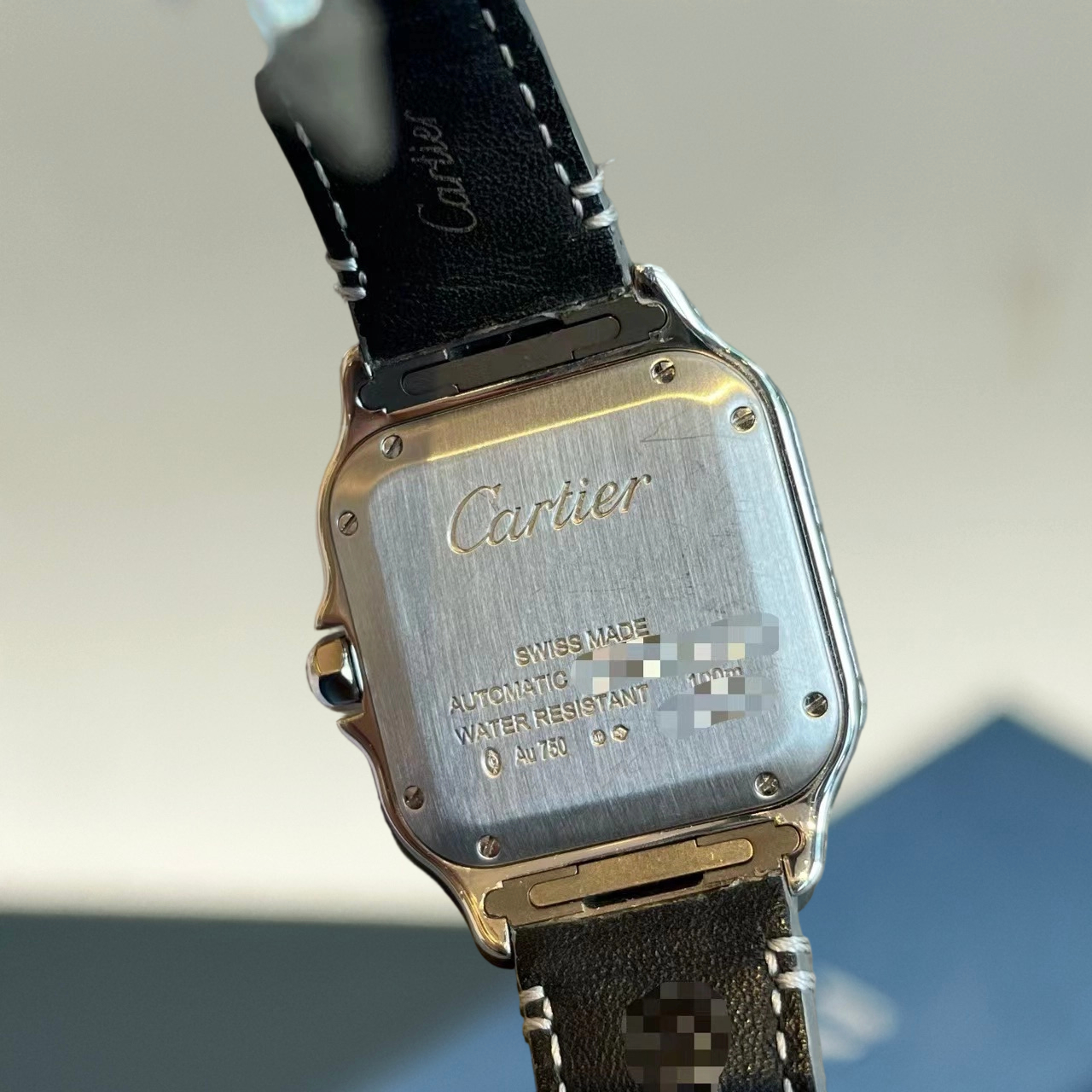 Cartier WJSA0014 detail 5
