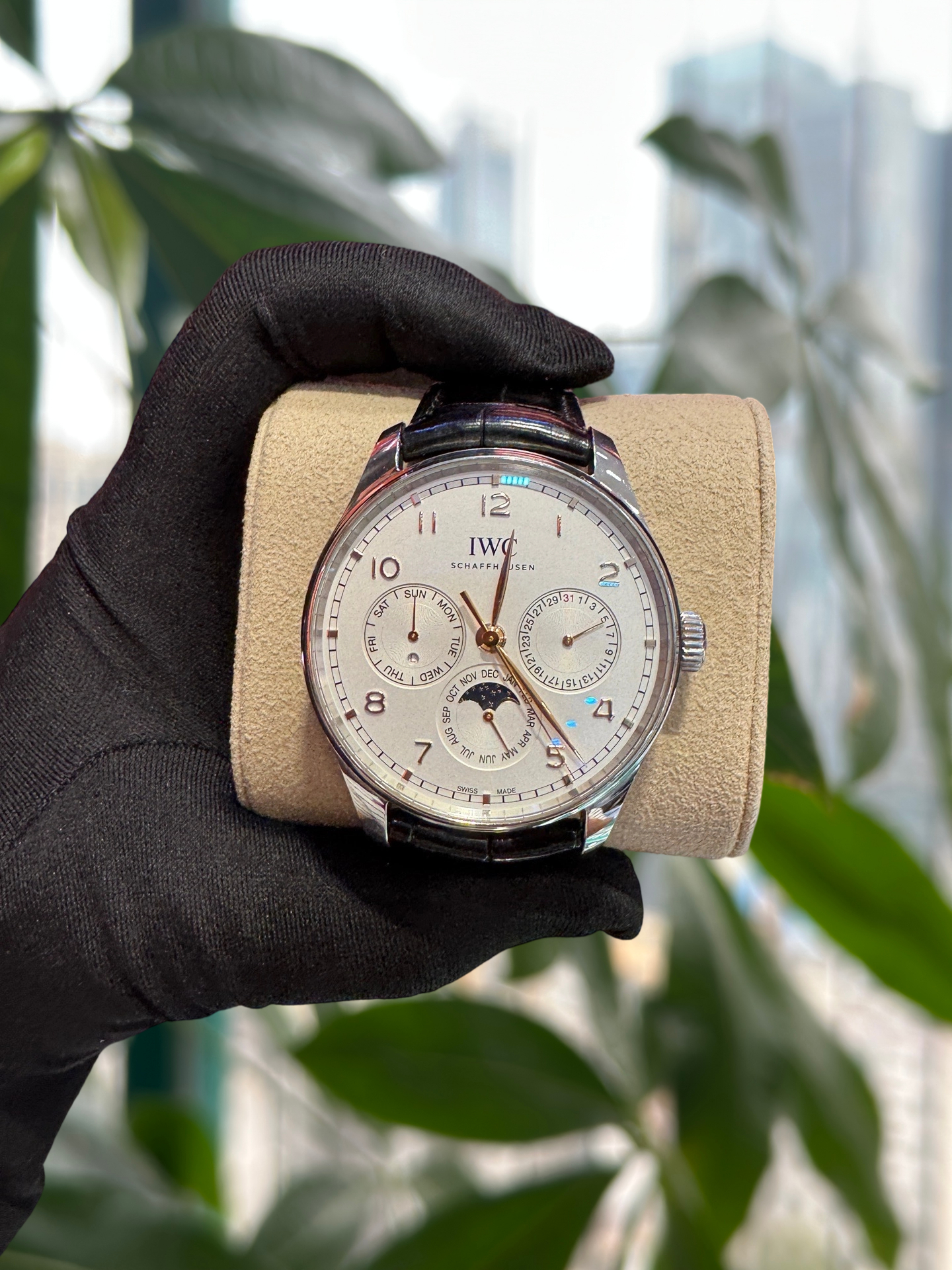IWC IW344203