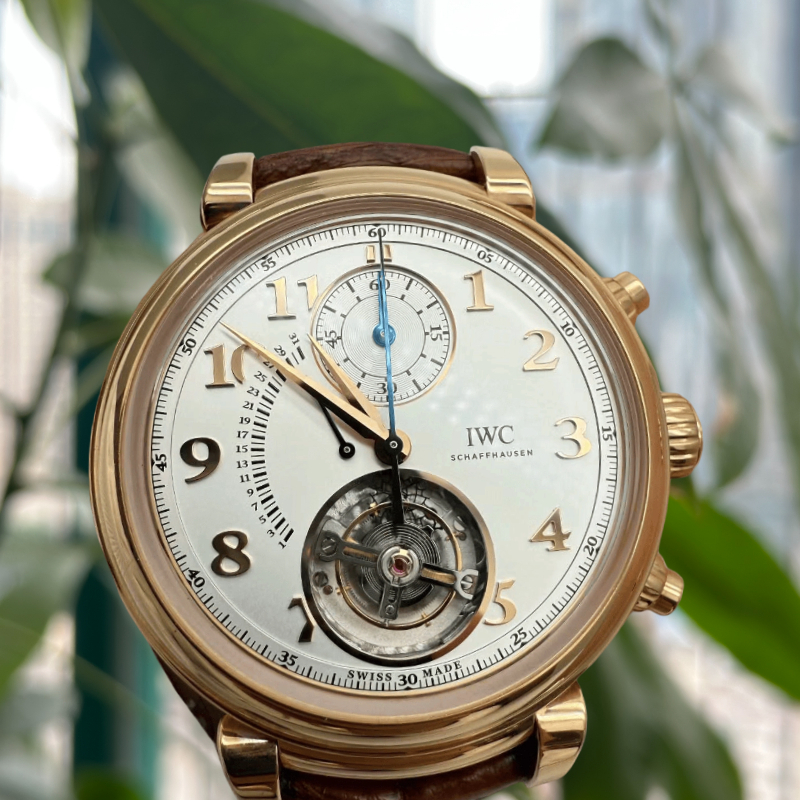 IWC IW393101