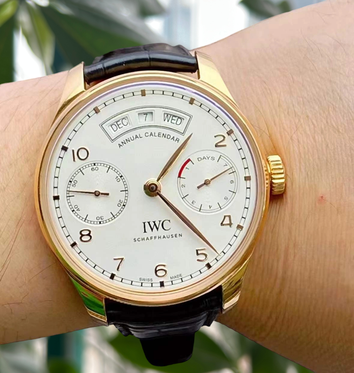 IWC IW503504 detail 1