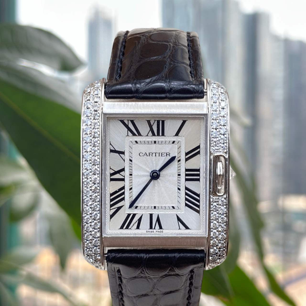 Cartier WT100030