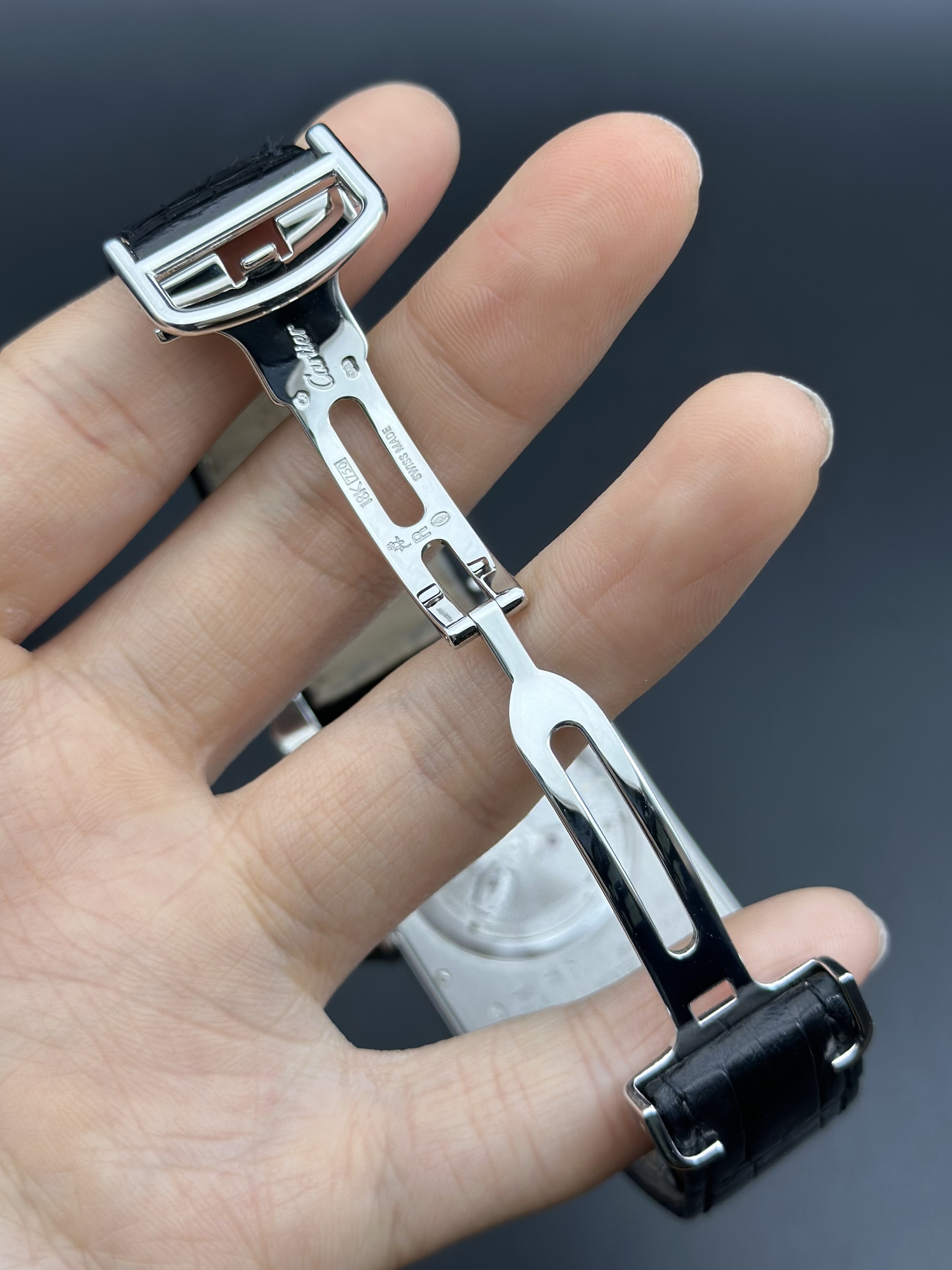 Cartier W2609956 detail 6