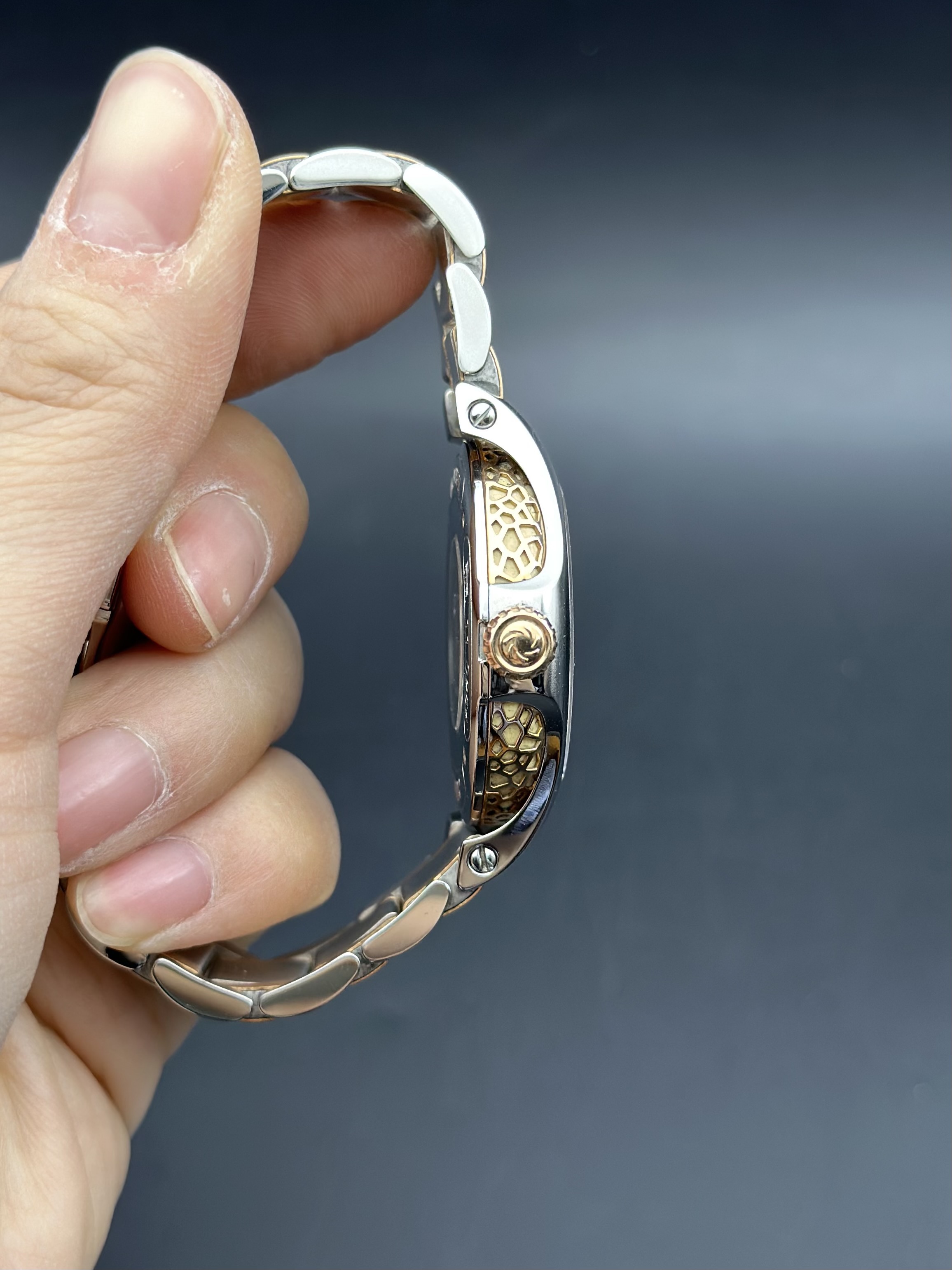 Carl F. Bucherer 00.10580.07.25.21.01 detail 3
