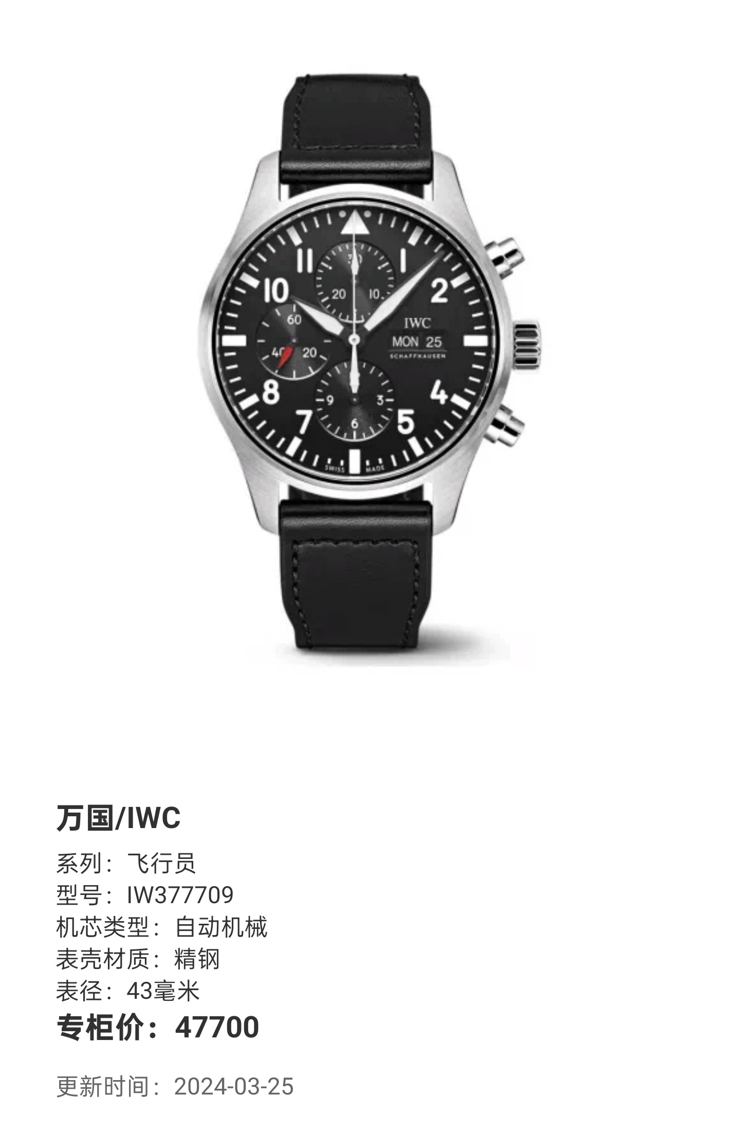 IWC IW377709 detail 5