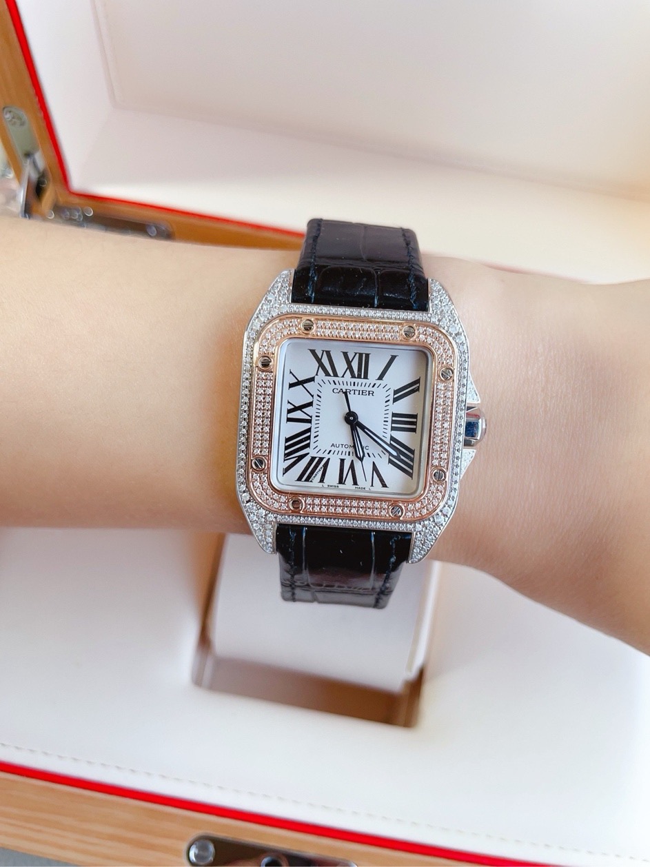 Cartier W20107x7