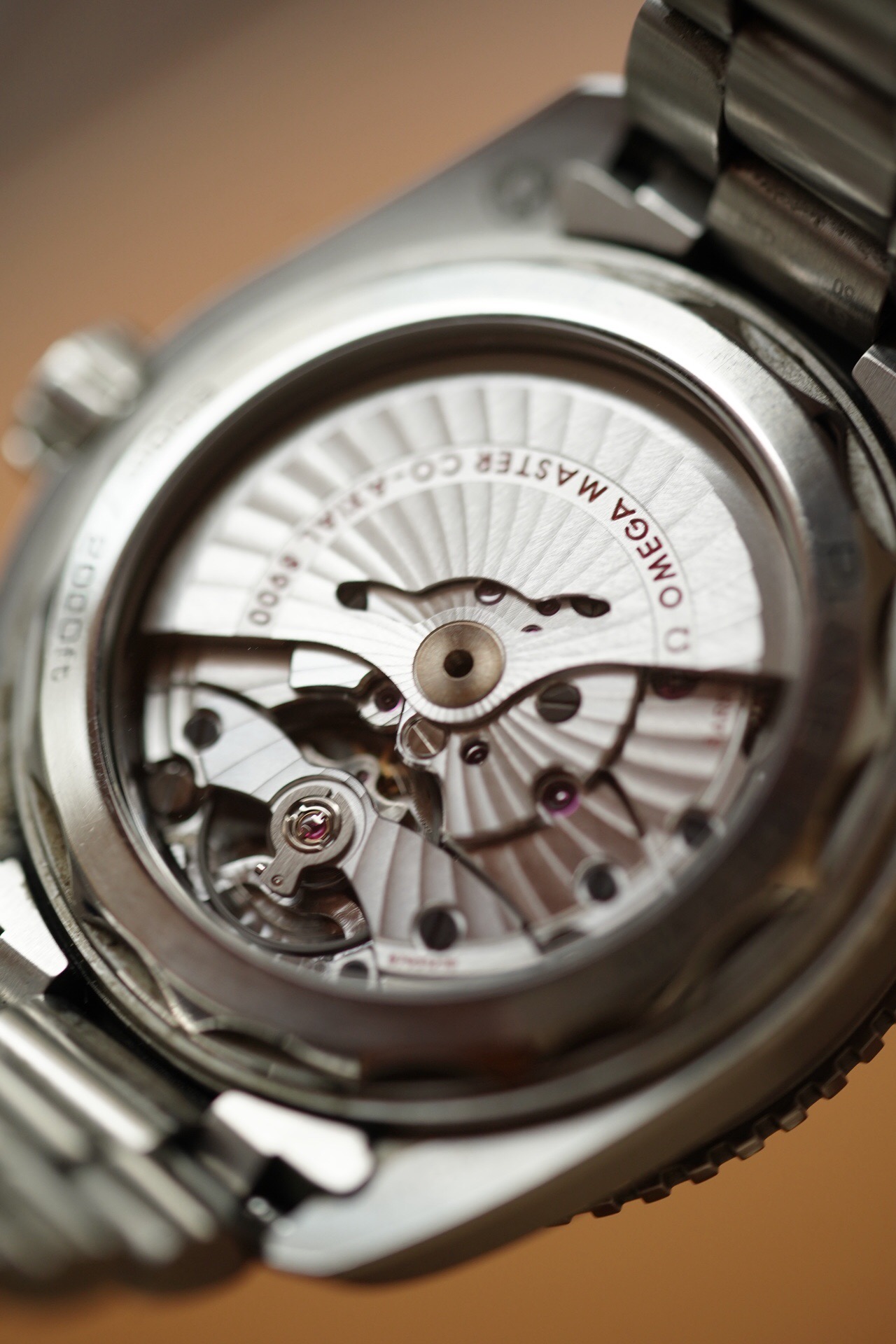Omega 215.30.44.21.01.001 detail 6